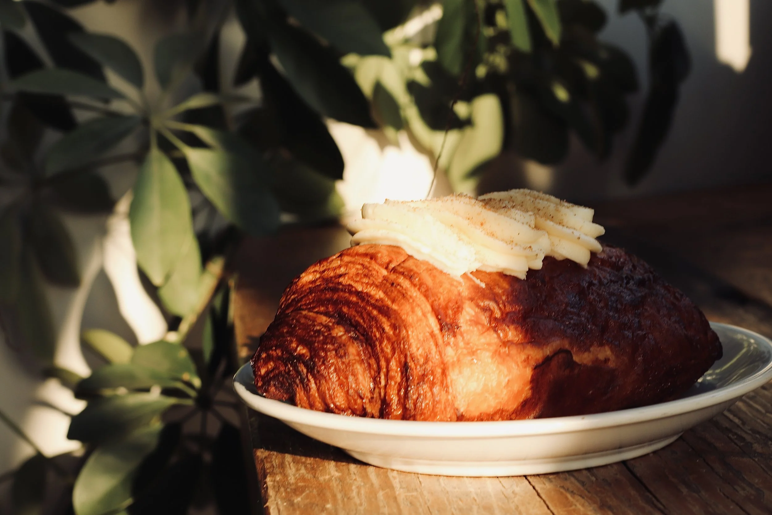 Close-up view of a baked bread roll topped with a swirl of white frosting on a white dish, with green leafy plant in the background.