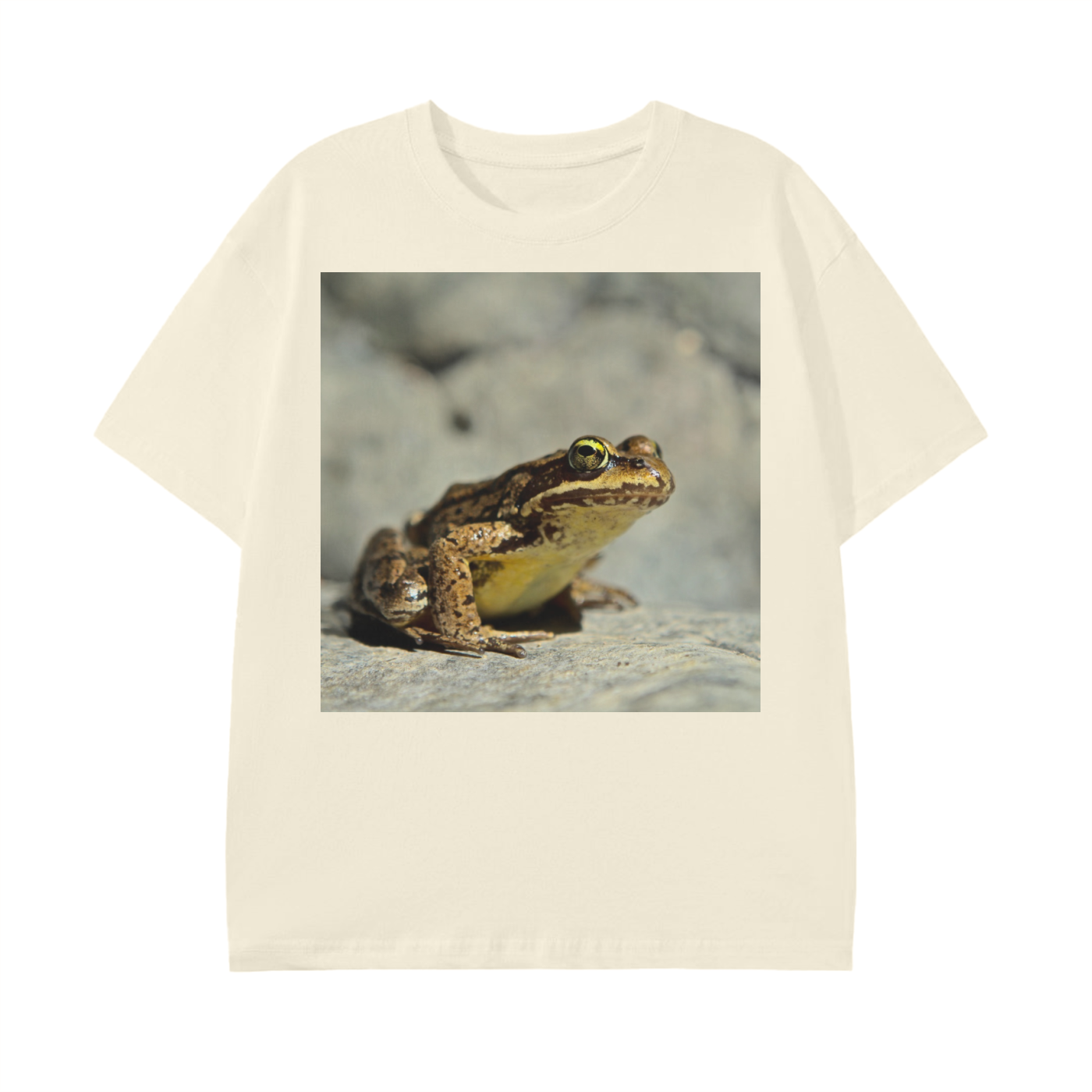 squarespace-upload-temp-2025-02-12-3e0d9e76-0b62-43f5-80a6-2e693feddd5a8838408123931699021.png