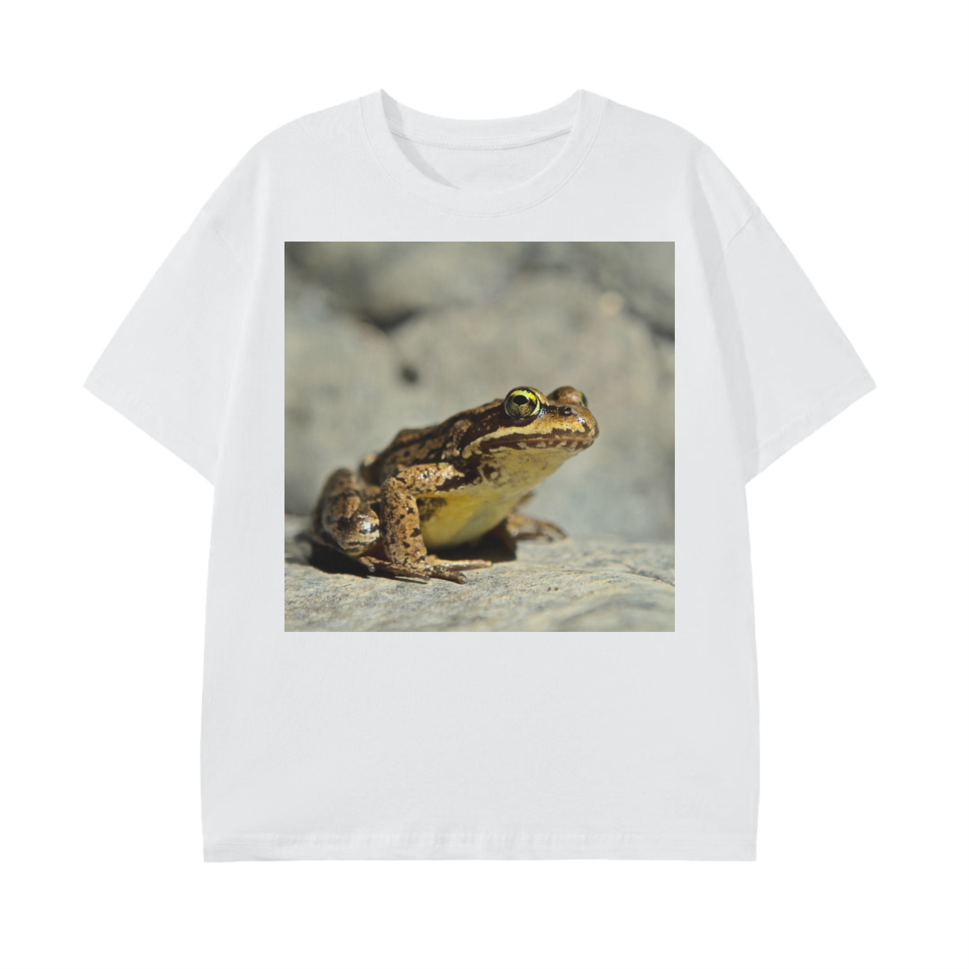 squarespace-upload-temp-2025-02-12-d7acb57e-1999-4093-bbe5-c060eb97802e3495617689903867770.png