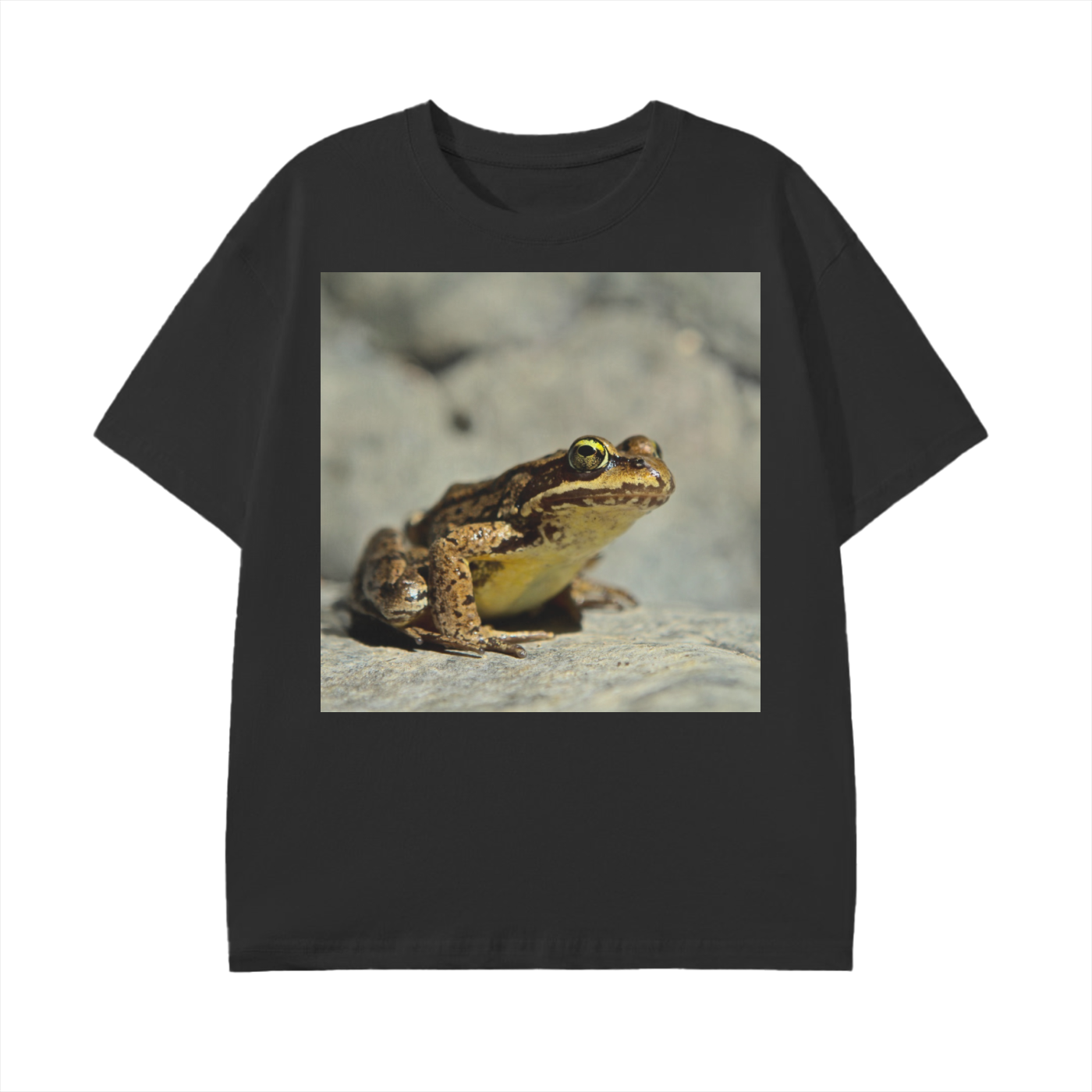 squarespace-upload-temp-2025-02-12-06dfd5cb-65b2-4d77-b0e3-185f0381ce861998837332347227342.png