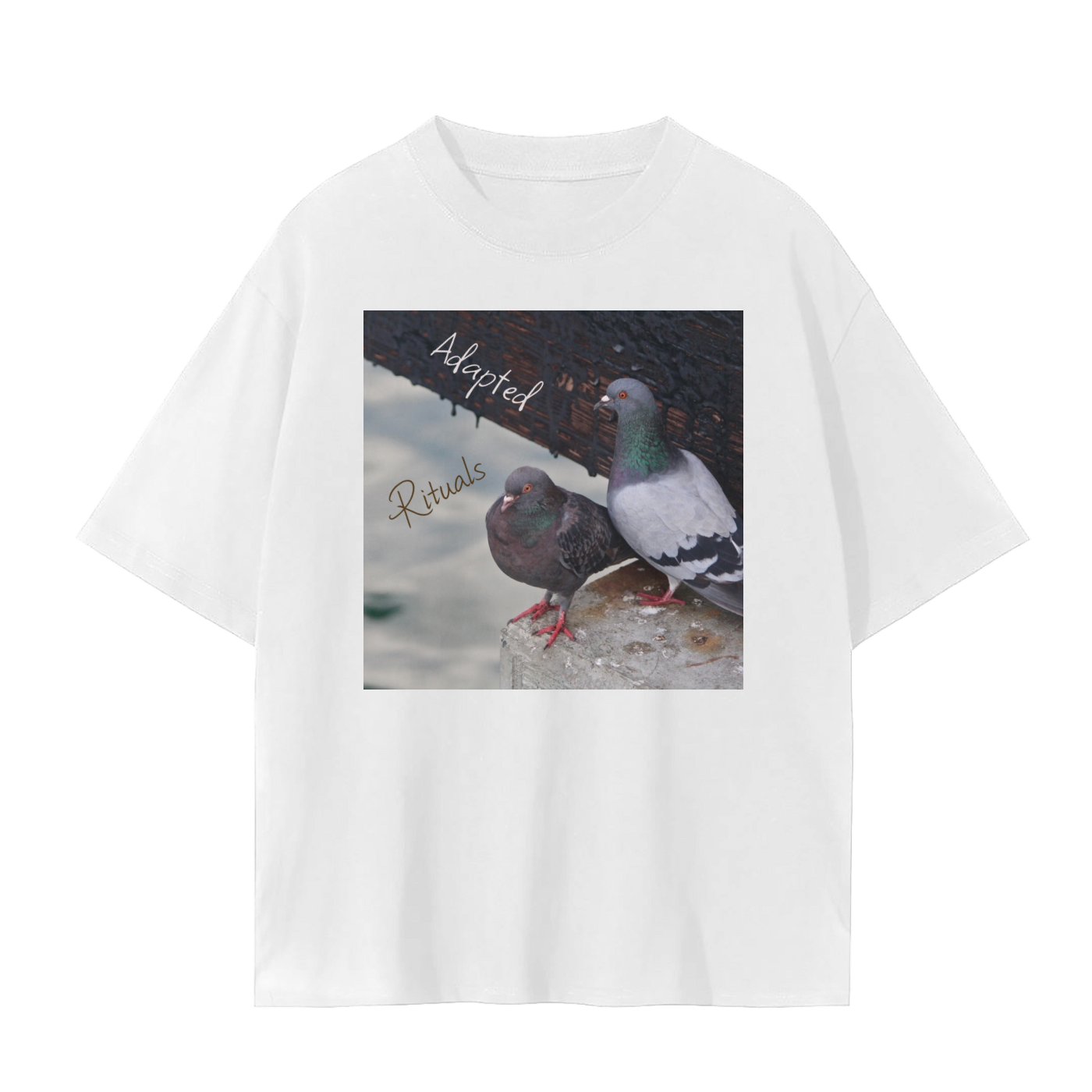 squarespace-upload-temp-2025-02-12-b19487f0-3b74-4ec6-a427-889551cd3c141128586346704668232.png