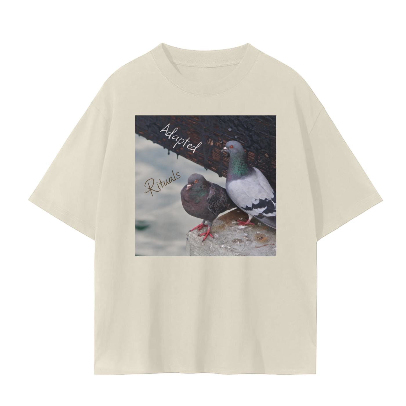 squarespace-upload-temp-2025-02-12-0fbbdc7f-7cb9-4d3b-bf1e-f0c903bdf2f47883144070658046498.png