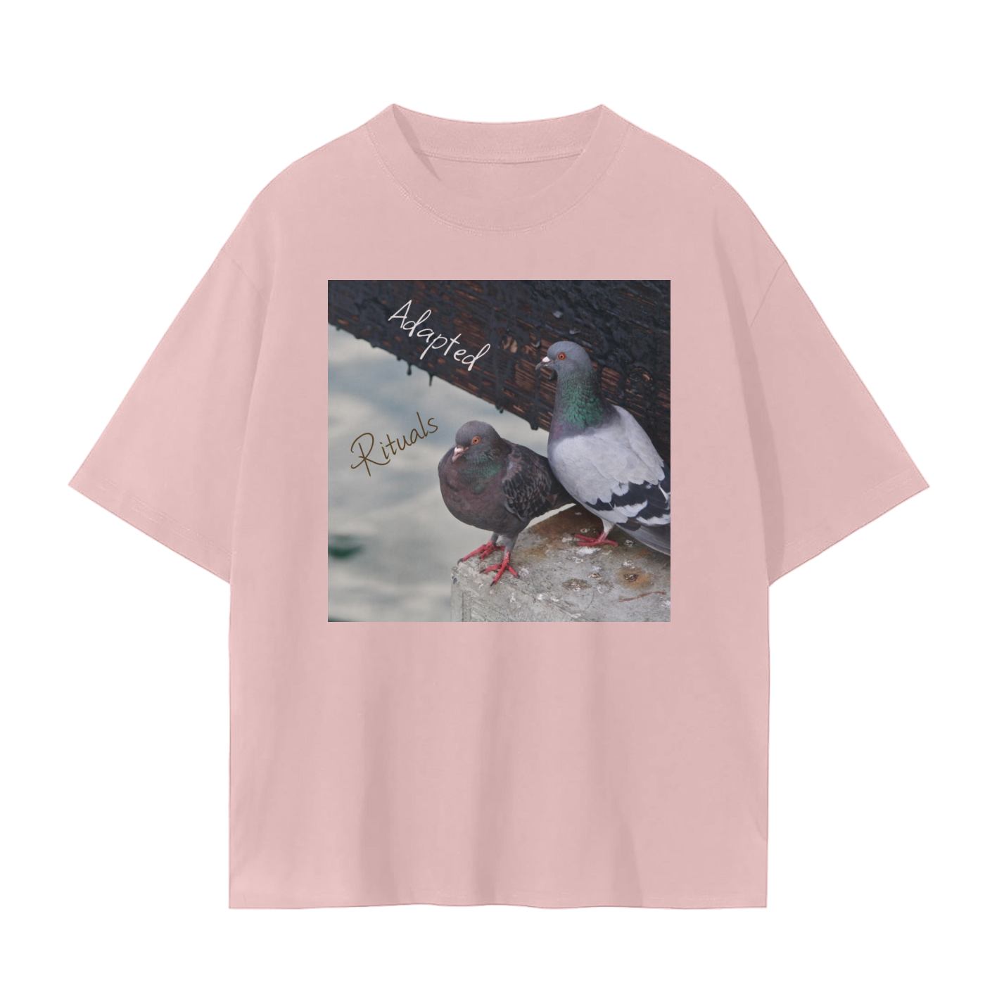 squarespace-upload-temp-2025-02-12-fa35b1ed-a505-49bf-83db-8f2ba3dba4a17726323026725176248.png