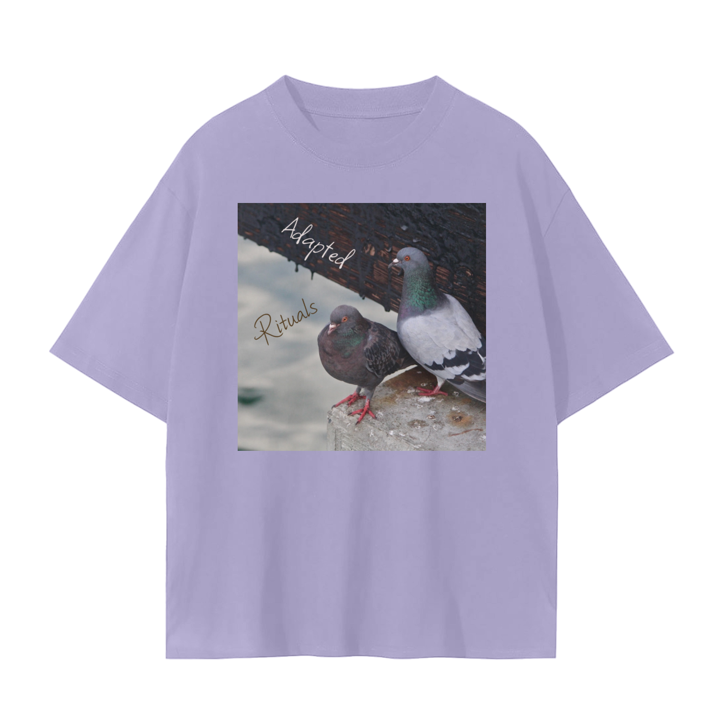 squarespace-upload-temp-2025-02-12-599129a0-a93b-47a4-806f-664c958a16f07350097614235029042.png