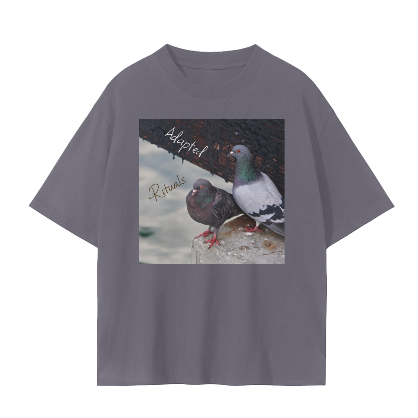 squarespace-upload-temp-2025-02-12-d04f25a1-88f1-4b50-9c5e-287cd854a0b1231225010361280721.png
