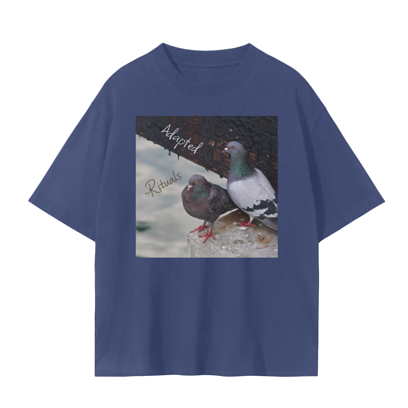 squarespace-upload-temp-2025-02-12-4f1ab059-c365-4725-8da0-f66ab6ef4a7f2838153529533440571.png
