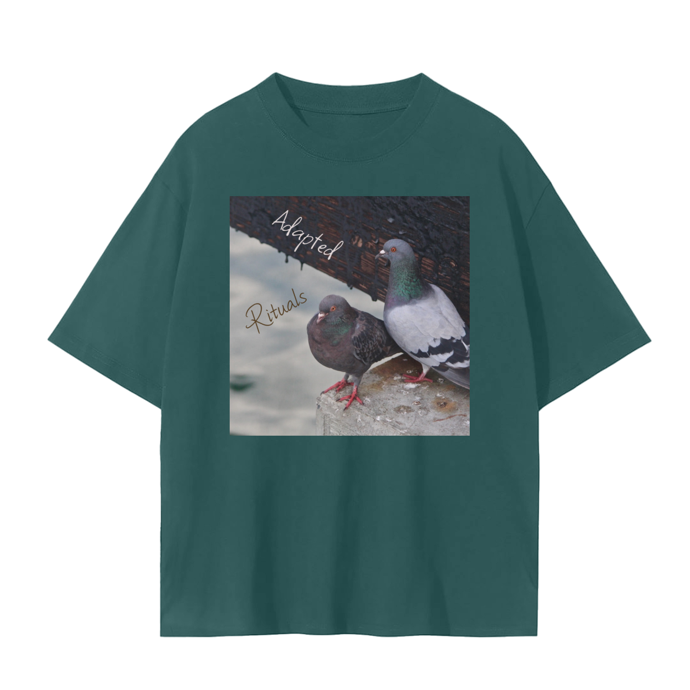 squarespace-upload-temp-2025-02-12-9ae2c968-4c6e-482c-9a87-fffbe81df3c93634299711372344636.png