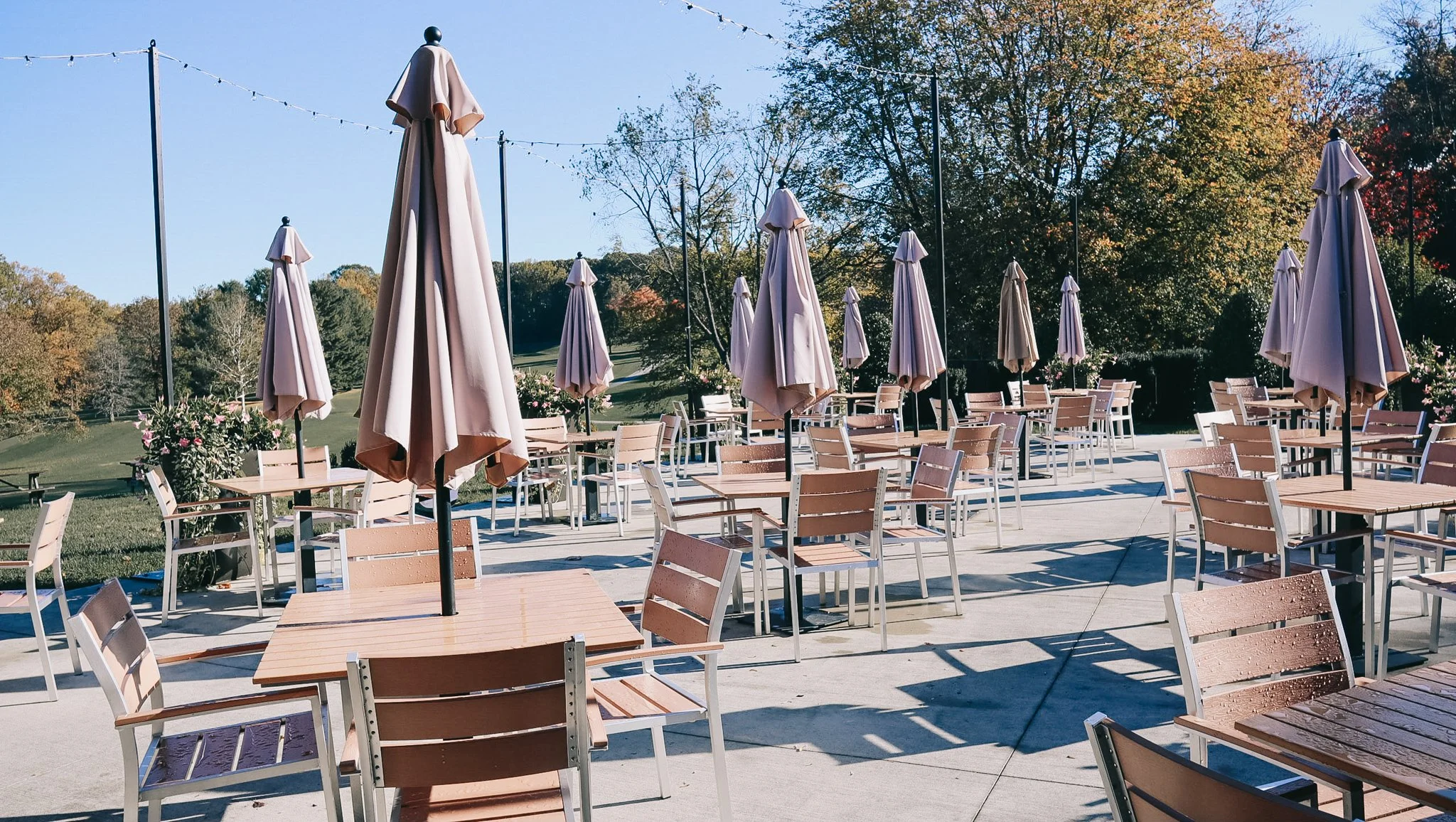 2018-04-30 11.16.16.jpg