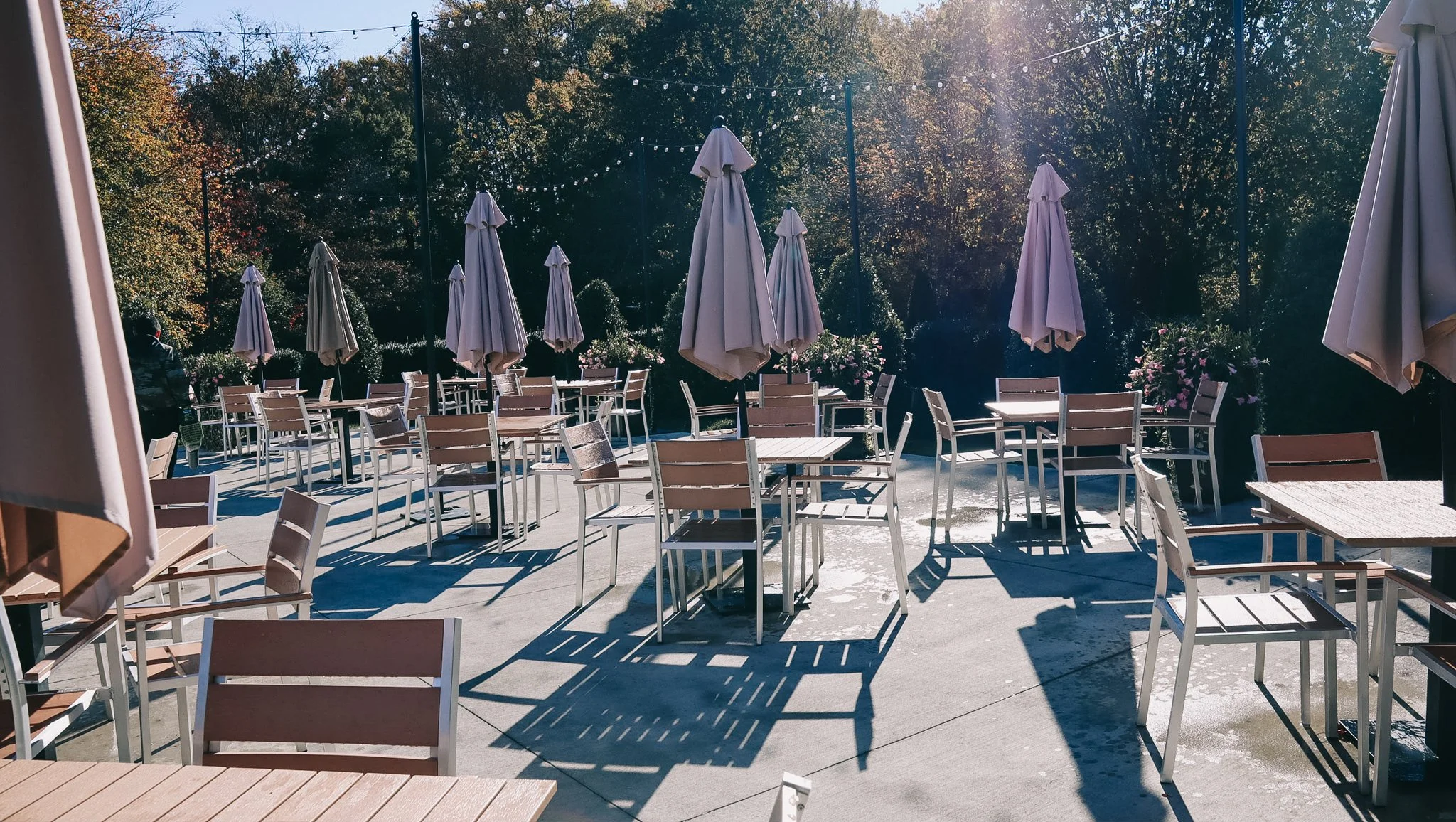 2018-04-30 11.20.28.jpg