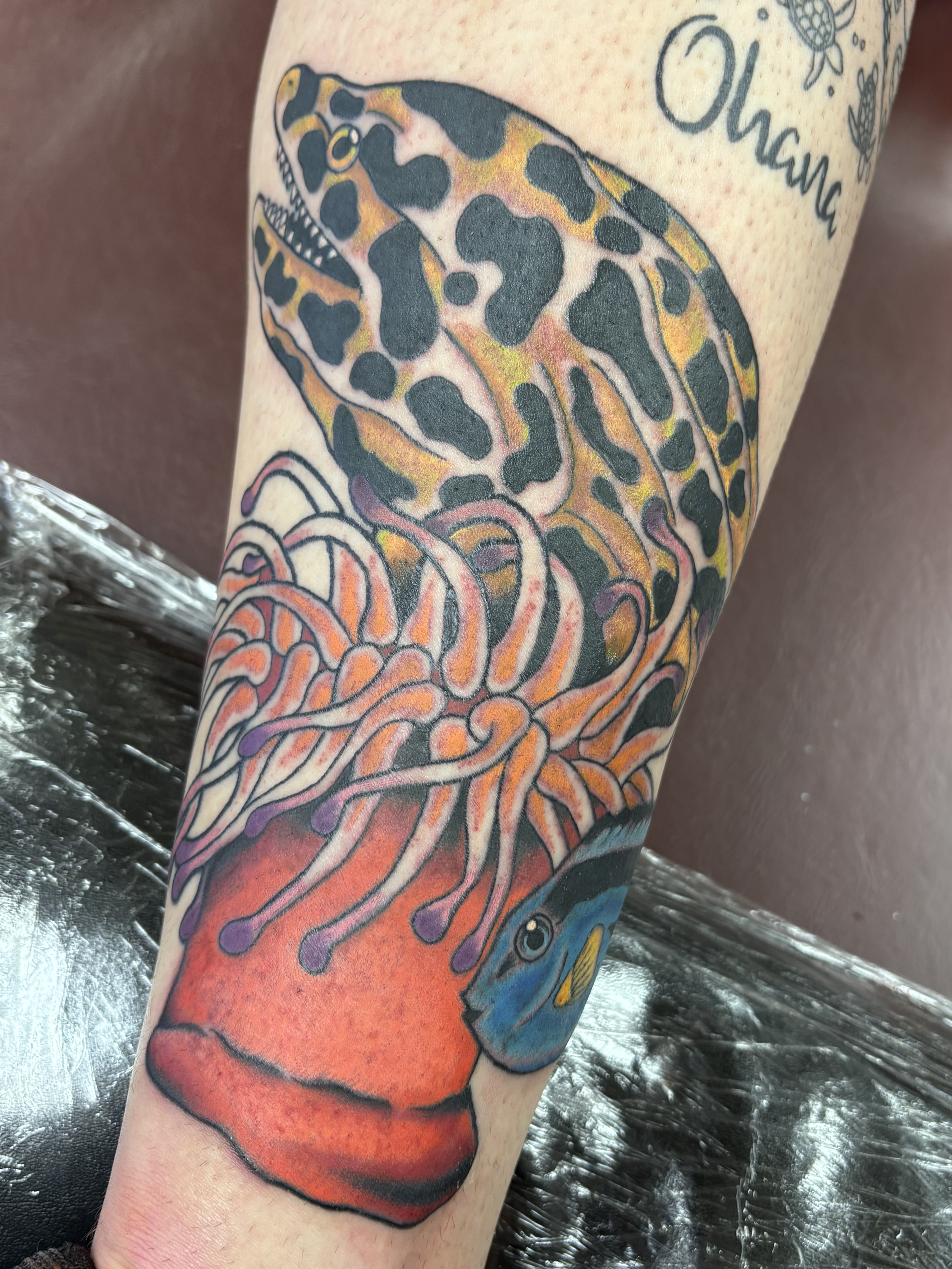 Colorful tattoo of a leopard seal on a person's forearm, with the words 'Ozawa' and small decorative drawings nearby.