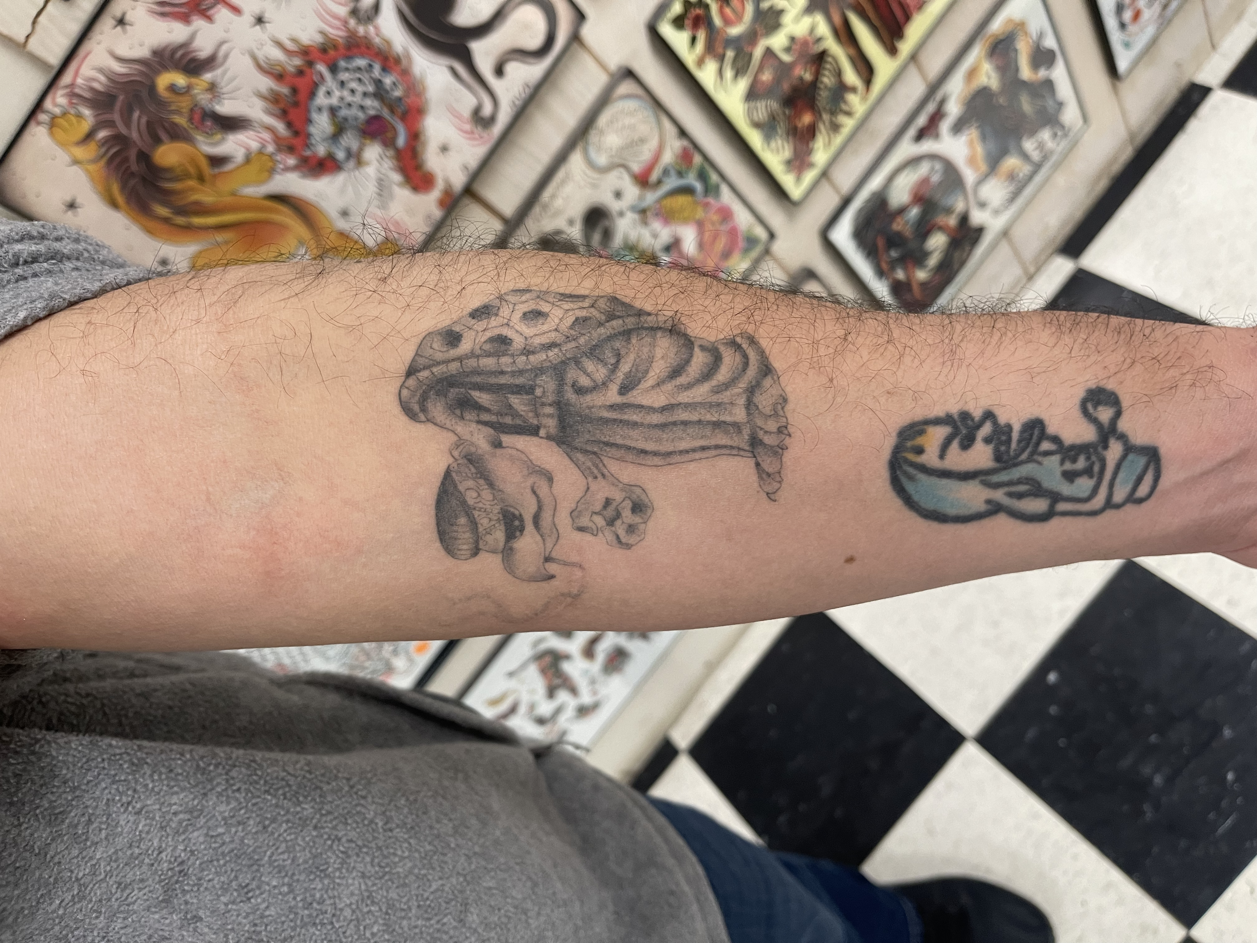 A person's arm with multiple tattoos, including a snake and a cartoonish character, is visible in the foreground. In the background, a display of various colorful tattoo flash designs is mounted on the wall.