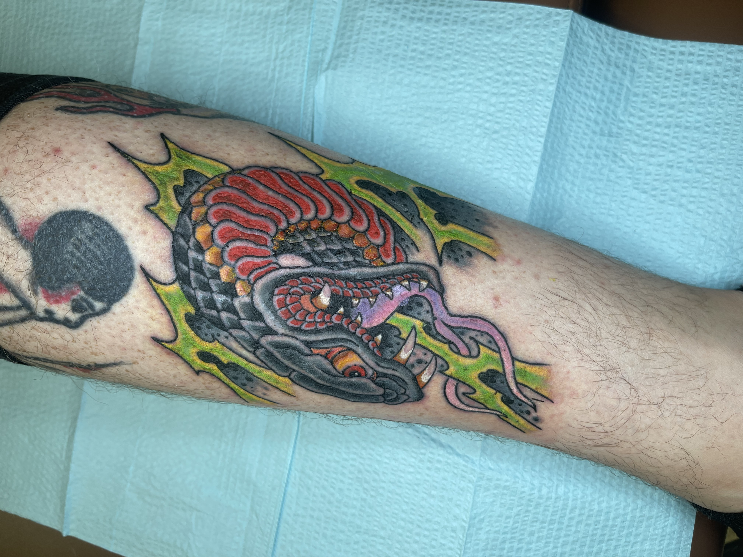 Colorful skull and snake tattoo on person's arm. Lubbock Texas Tattoo artist Jesse Whitley Traditional Tattoo shop