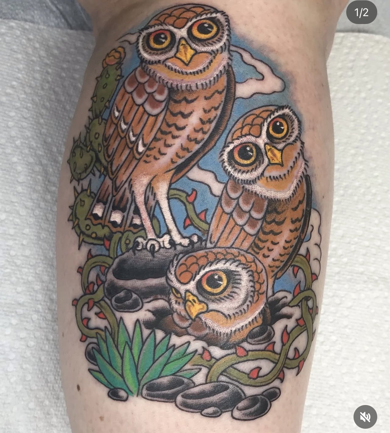 Colorful tattoo of three owls perched on rocks and plants, with a cloudy sky in the background.