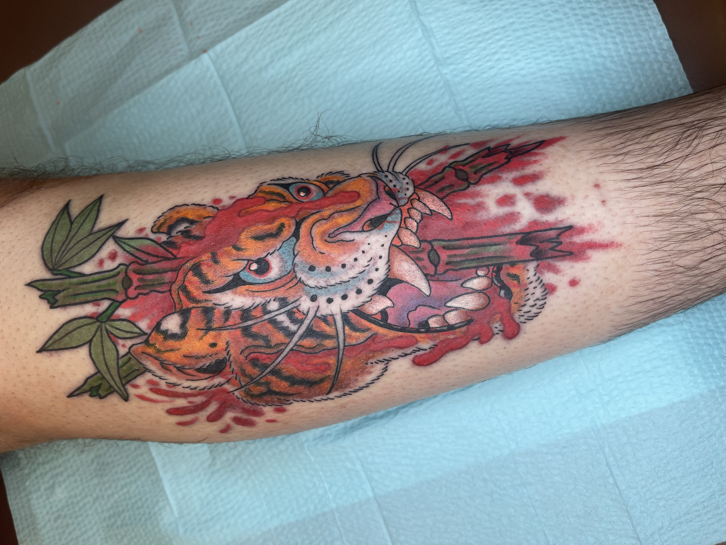 Colorful tattoo of a tiger with green leaves on a person's arm, with red and orange tones, shown in a tattoo studio.