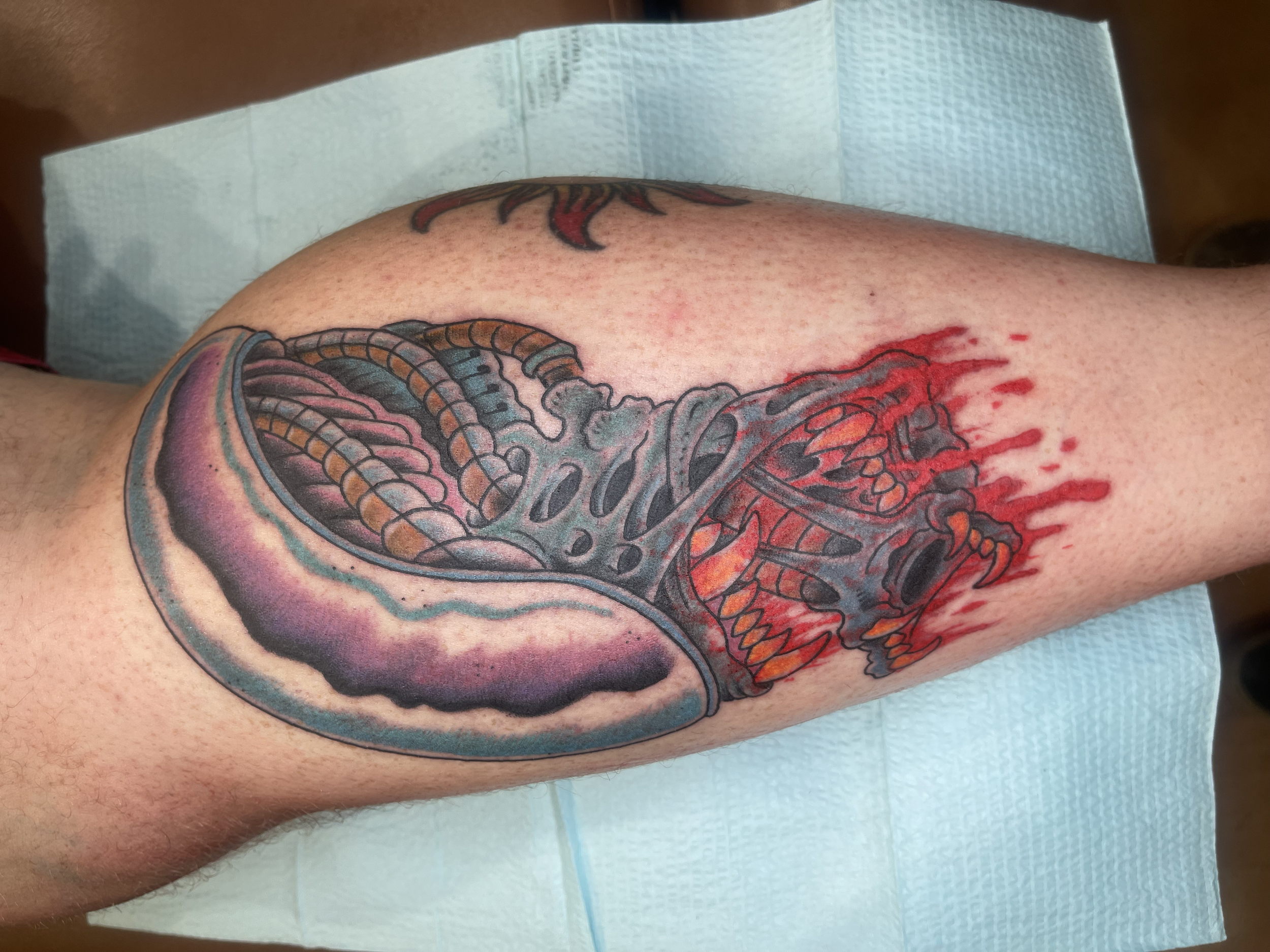 Close-up of a person's side torso with a colorful tattoo of a snake and a small red and black fire design above it. There is a fresh red ink mark near the tattoo, suggesting recent tattooing. The background shows a blue medical paper towel.