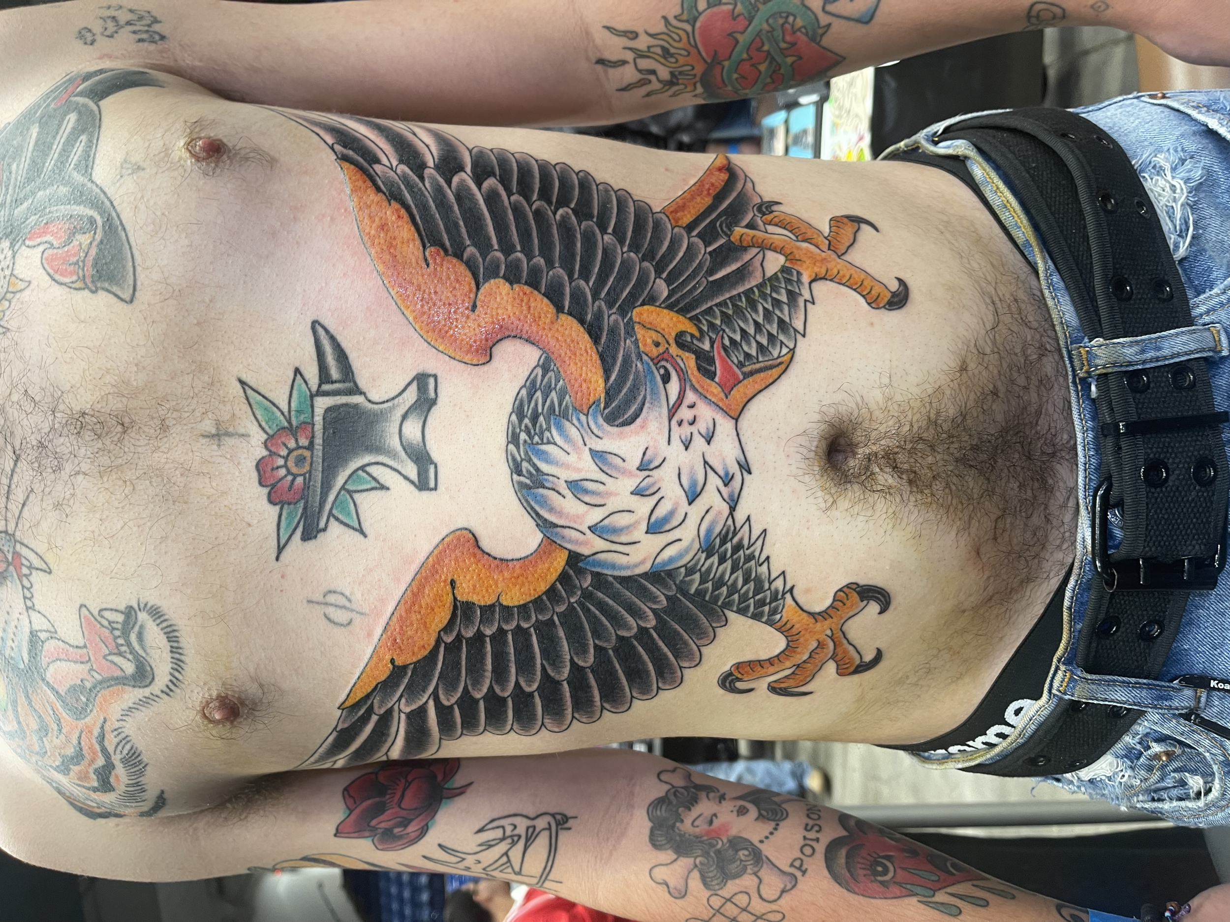 A person's torso showing a large colorful tattoo of a fierce eagle with outspread wings on their chest and torso. The eagle's head is white with blue details, and its wings are black with orange highlights. The person is wearing ripped denim shorts a