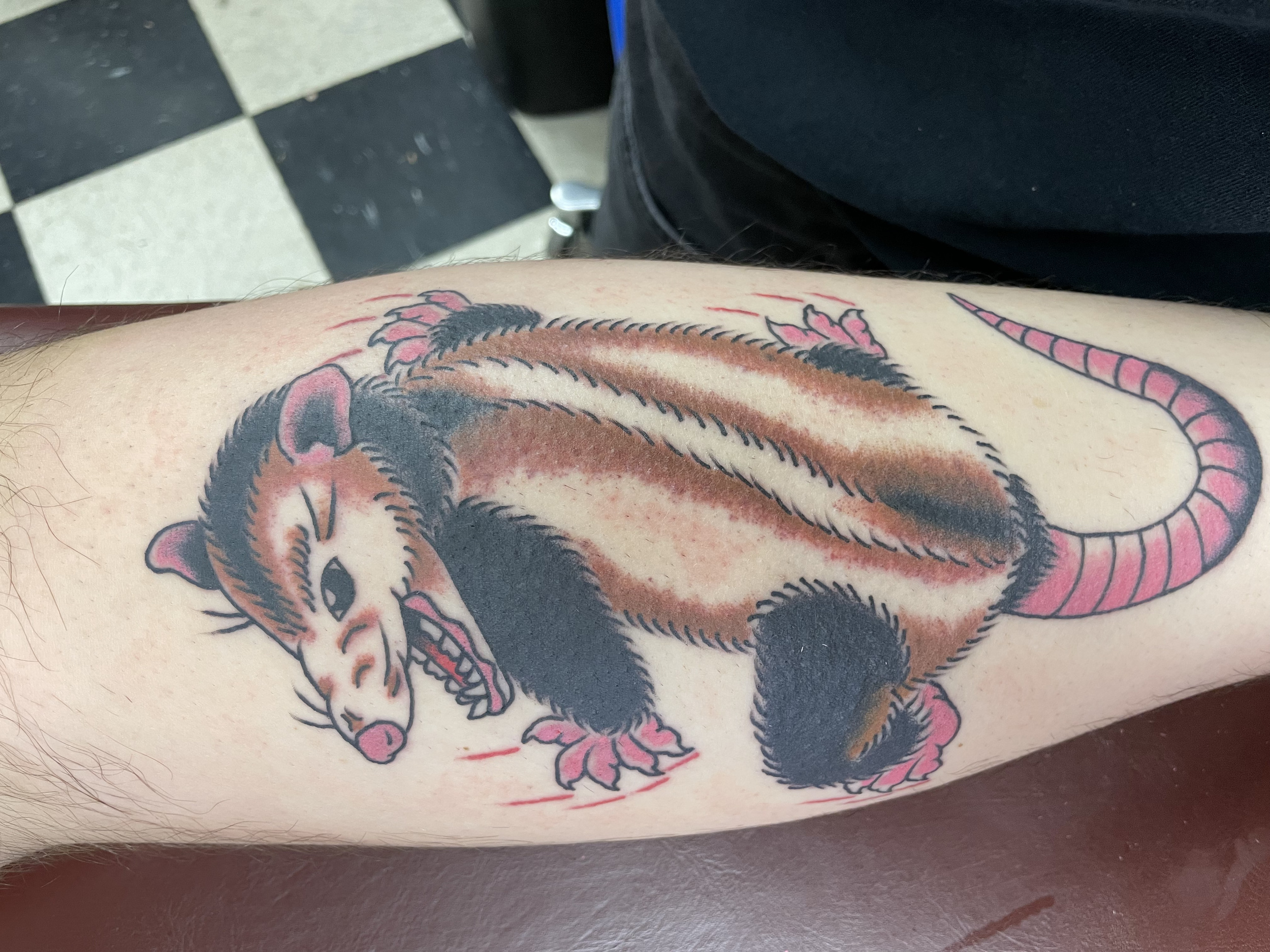 Close-up of a tattoo of a tiger's face and body on a person's arm.