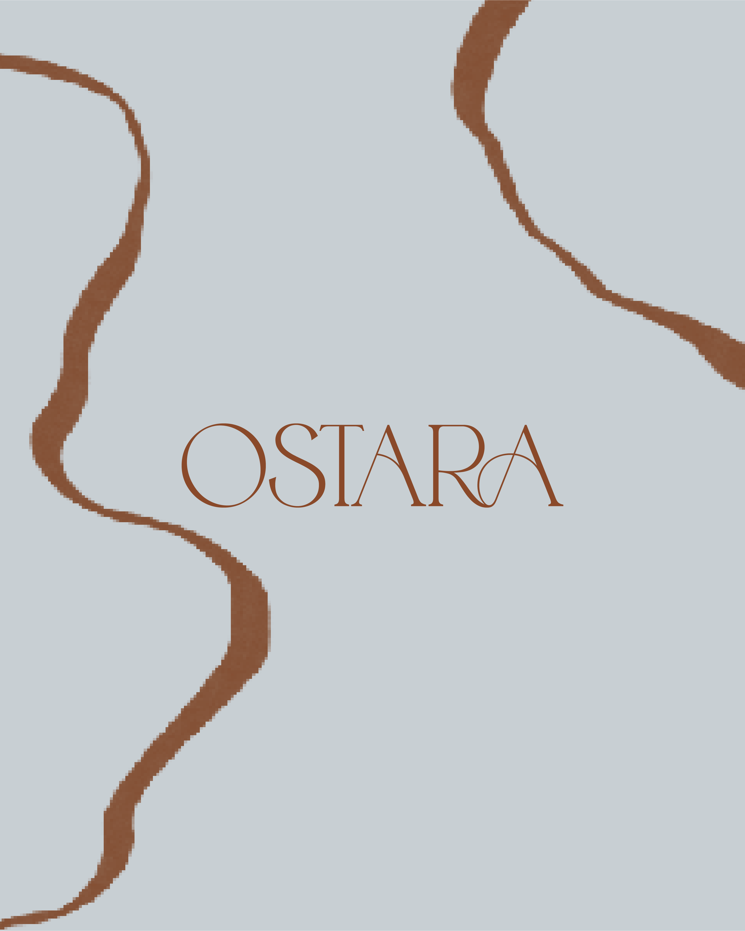 blush-design-studio_portfolio_brand-design_wellness-industry 386.png