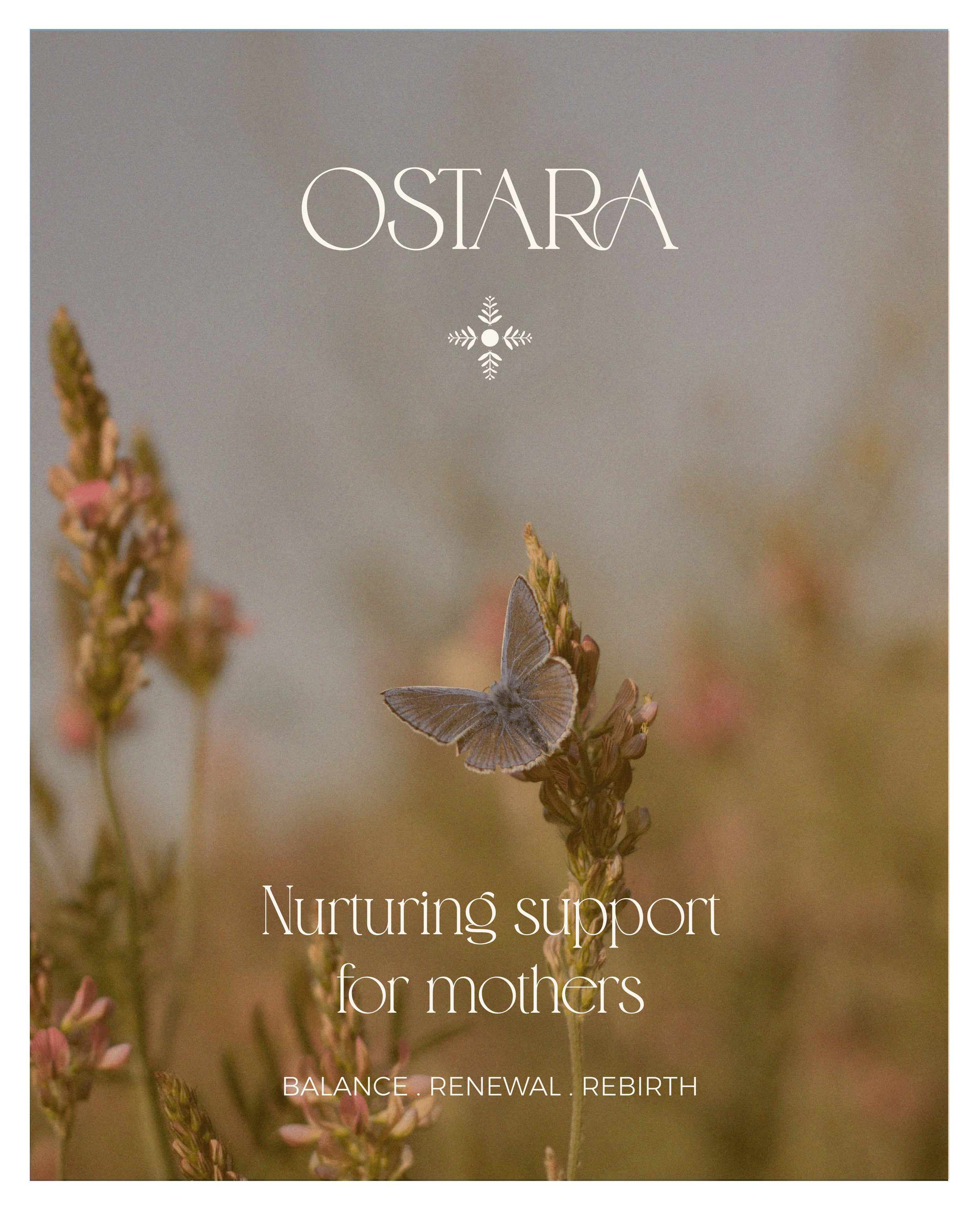 blush-design-studio_portfolio_brand-design_wellness-industry 388.png