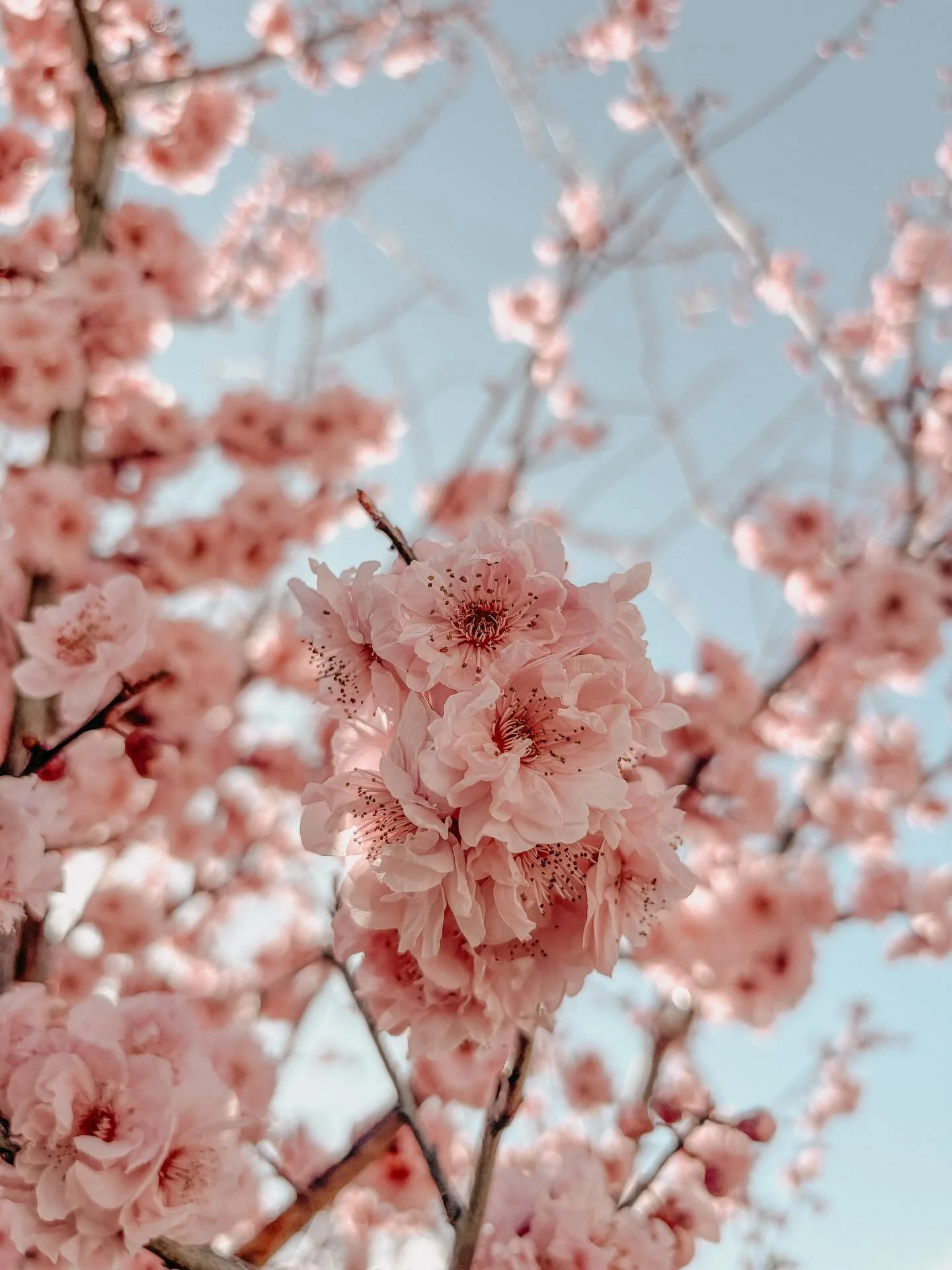Signs that Spring is nearly here 🌸