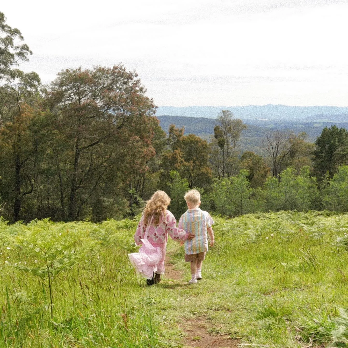 Lately 🌸 In the mountains, picking wildflowers, fresh sheets, weekends away, exploring, picnics, drop off tears and cuddles, morning snuggles, beach walks, breakfast in bed from the kids, nourishing lunch, my boy ✨