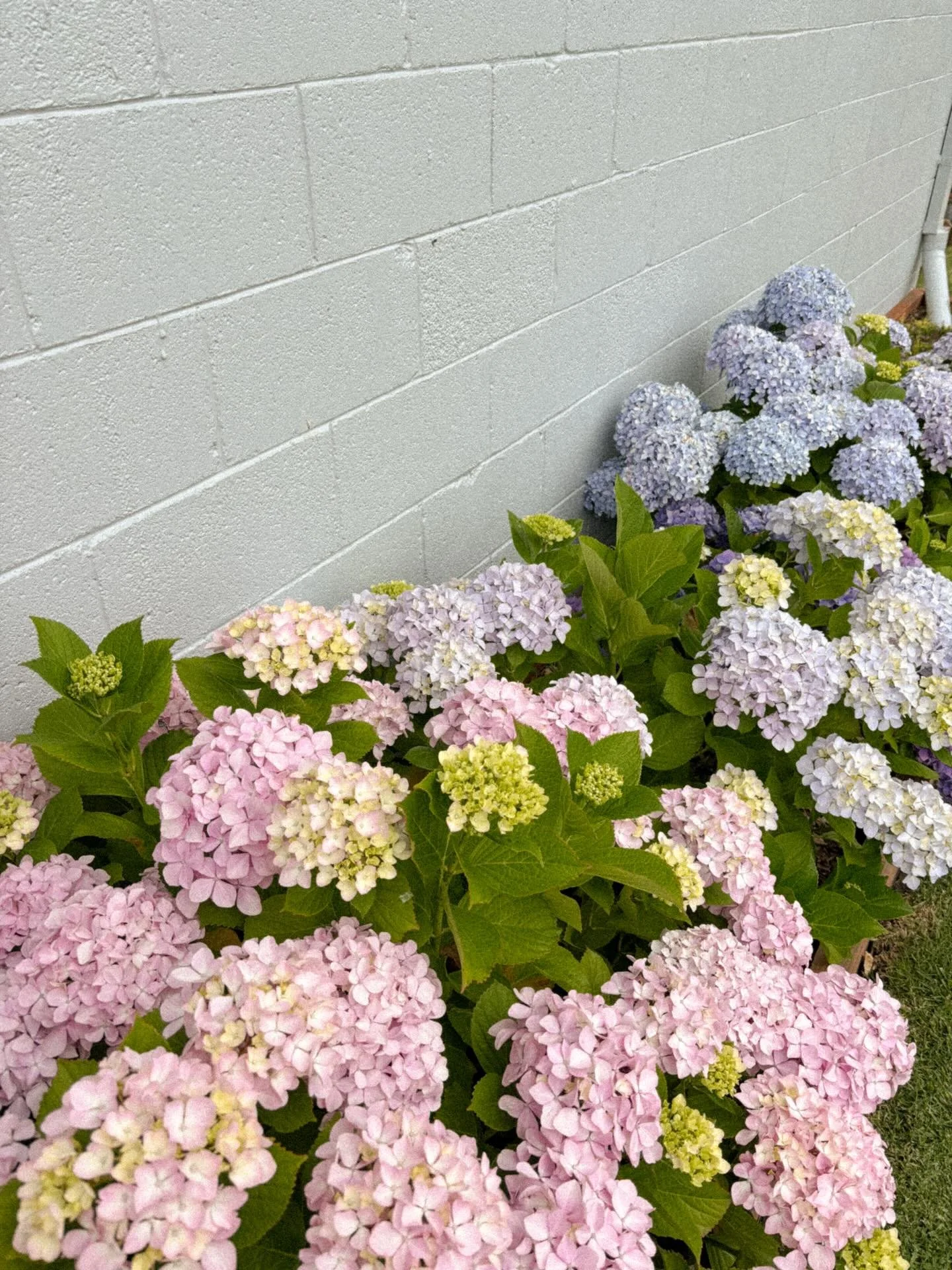 Summer postcards from the beach to the river. Holidays are the best! I&rsquo;m dropping in and out of work but officially back in the Blush office on January 14th. It&rsquo;s shaping up to be a very exciting year indeed! ☀️