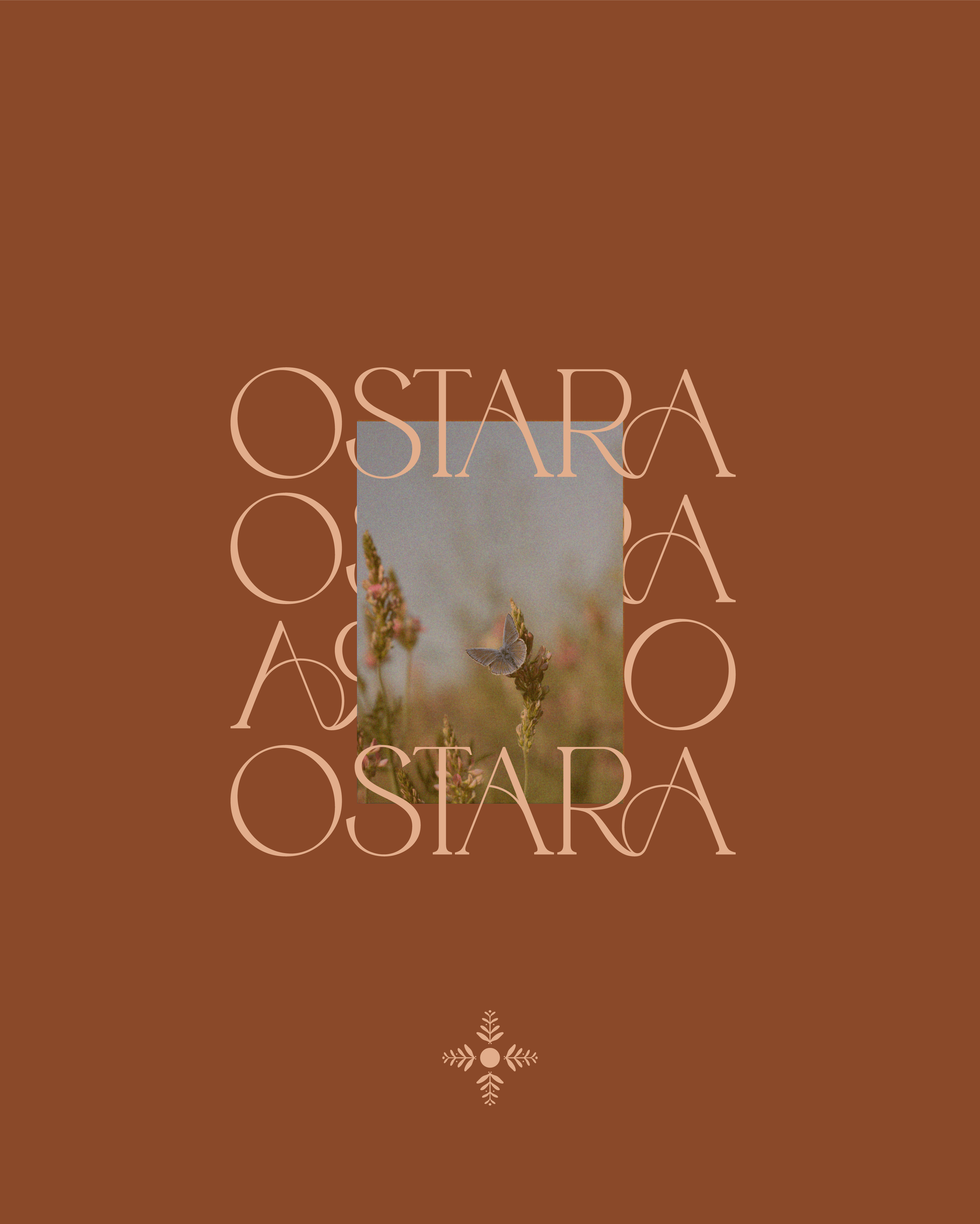 blush-design-studio_portfolio_brand-design_wellness-industry 387.png