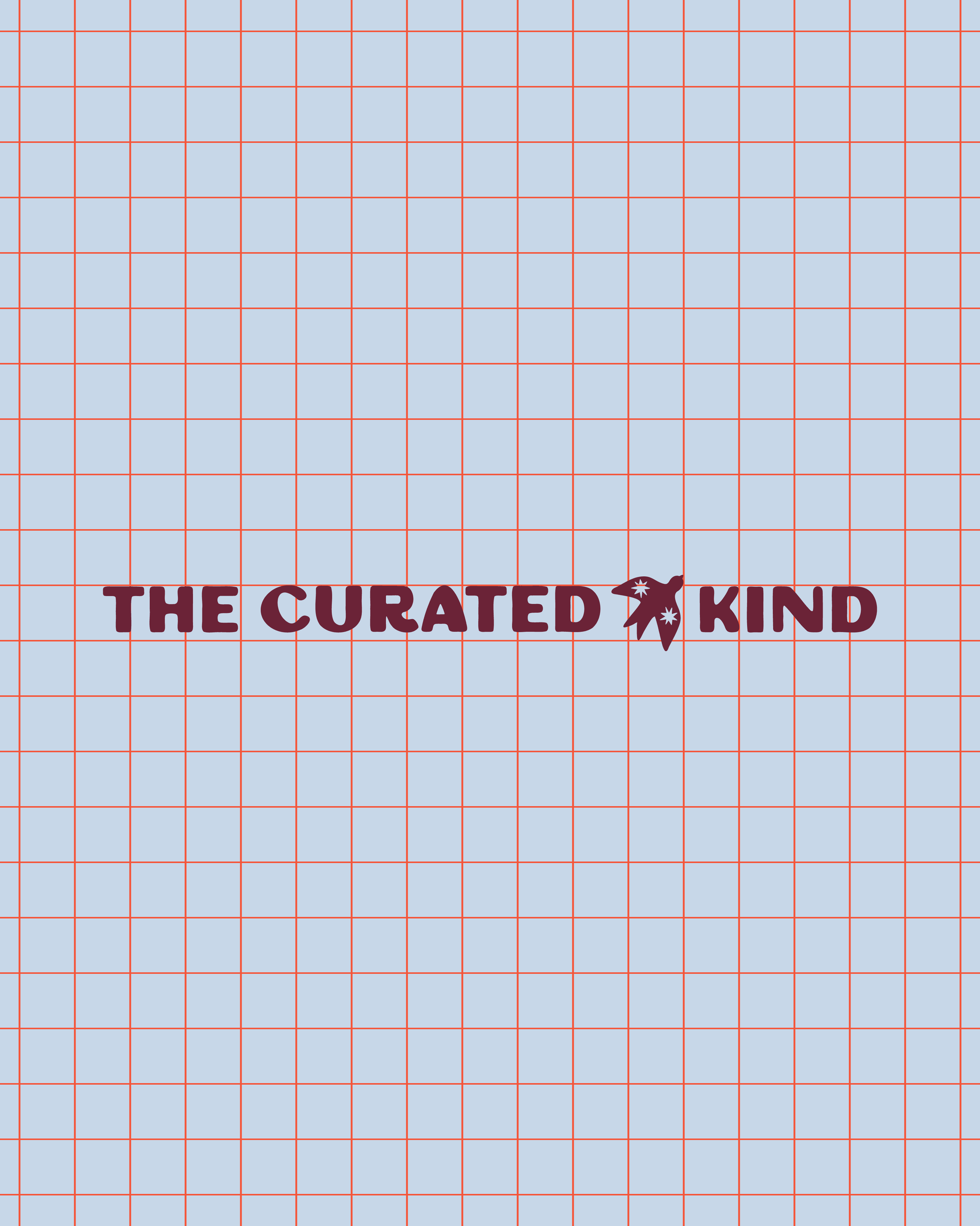 blush-design-studio_portfolio_brand-design_photographer-branding_ 120.png