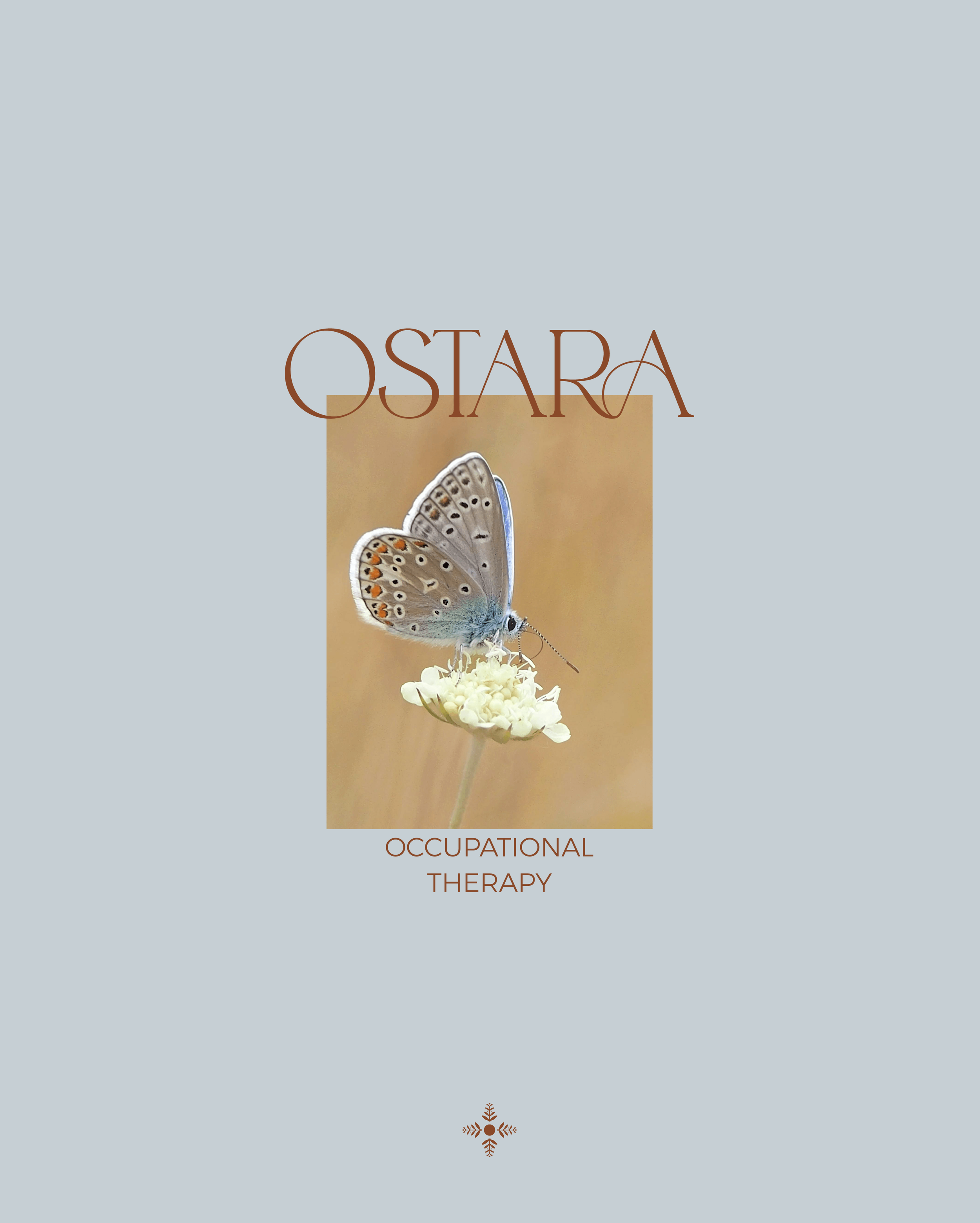 blush-design-studio_portfolio_brand-design_wellness-industry 390.png