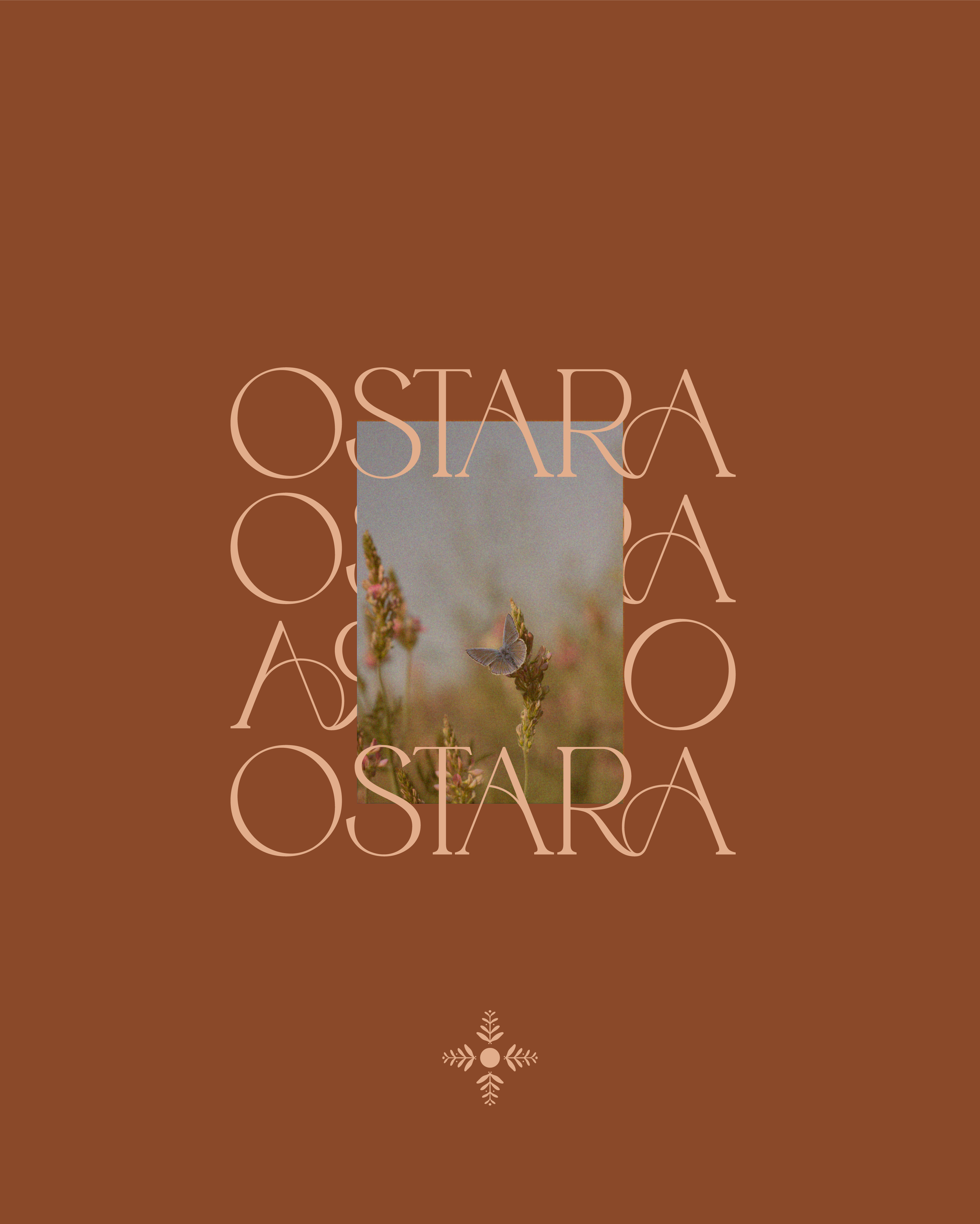 OSTARA_LAUNCH-IMAGE_ 387.png