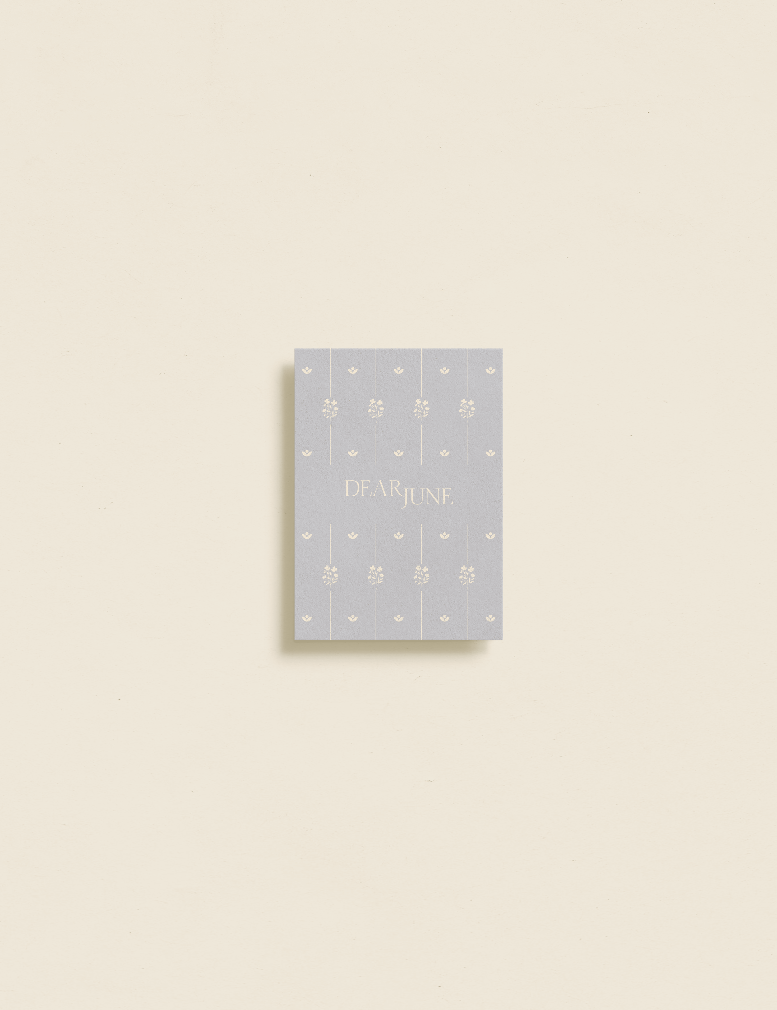 blush-design-studio_portfolio_brand-design_childrens-brand_ 19.png