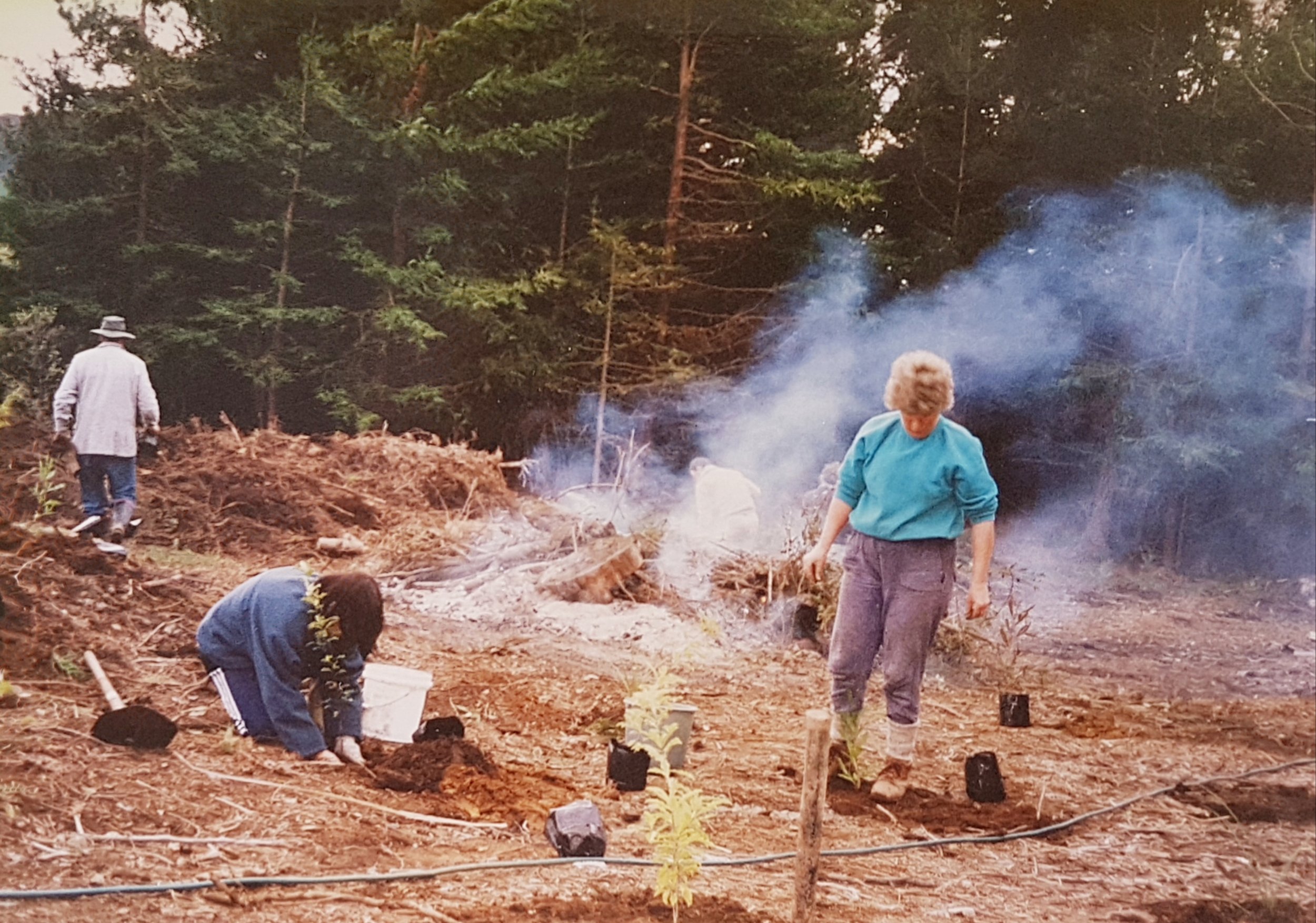 tree planting 2.jpg