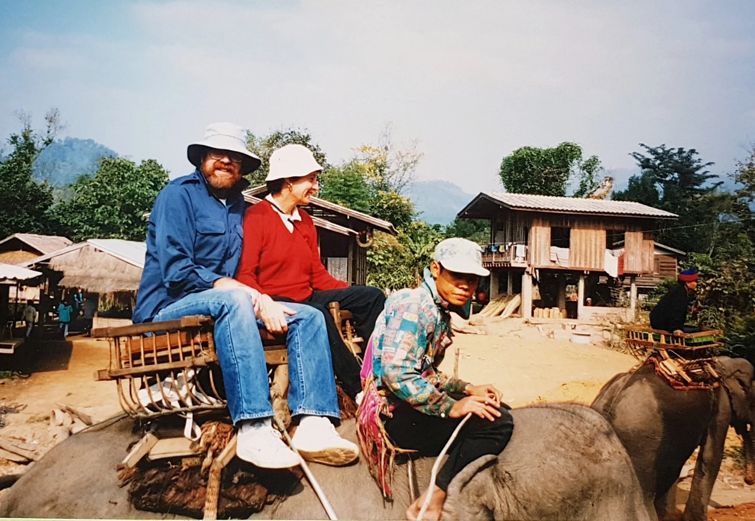 r and d on elephant.jpg