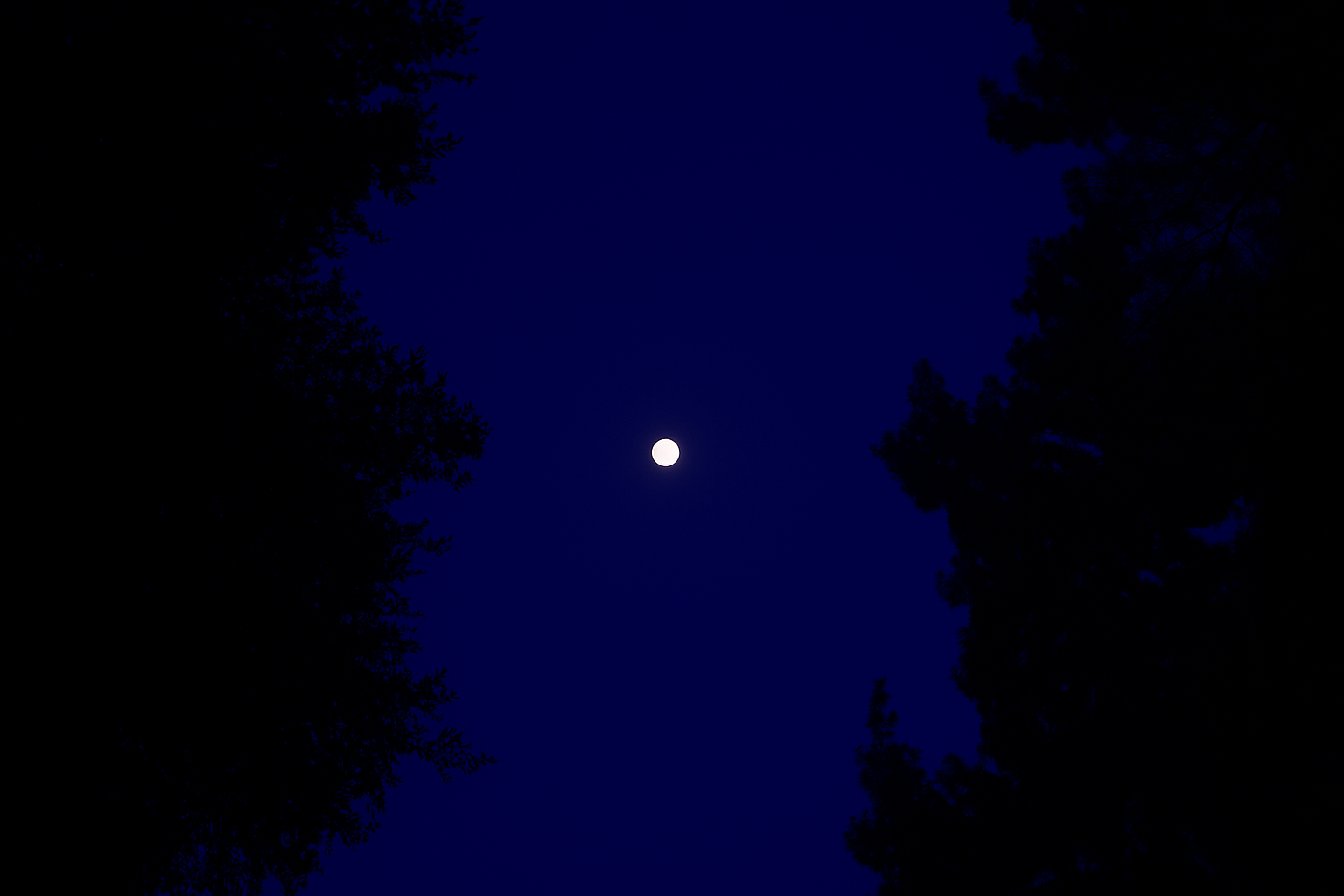 ChatGPT Image Nov 6, 2025, 10_18_08 PM.png