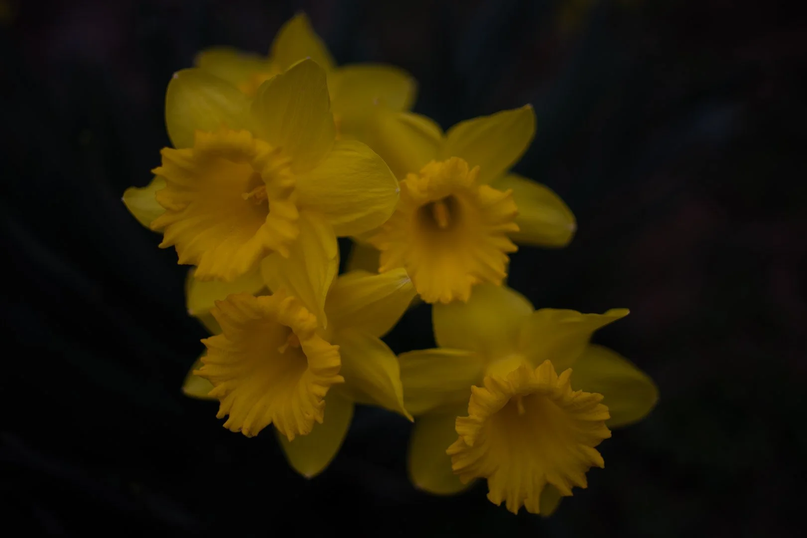 DSC07970.jpg