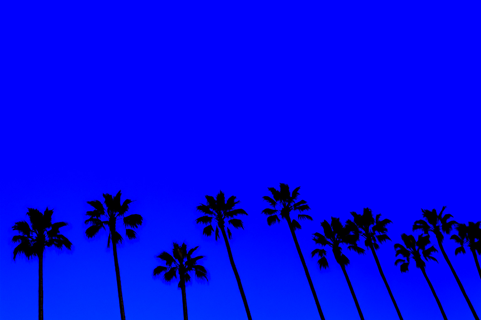 Blue Palm Trees.png