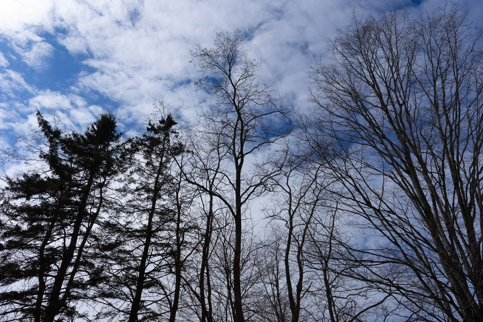 DSC06895.jpg