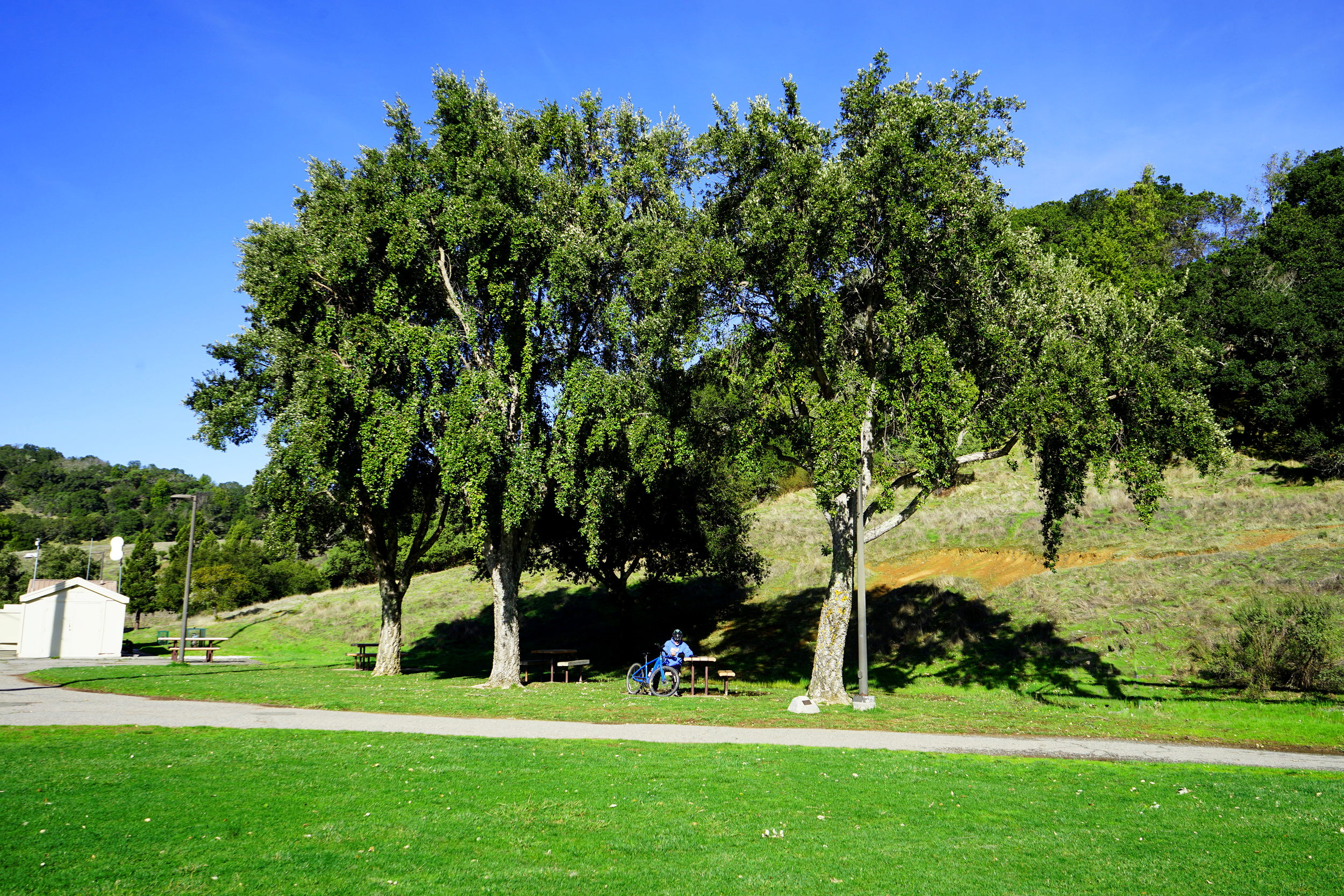 Novto IVC Biker Still.png