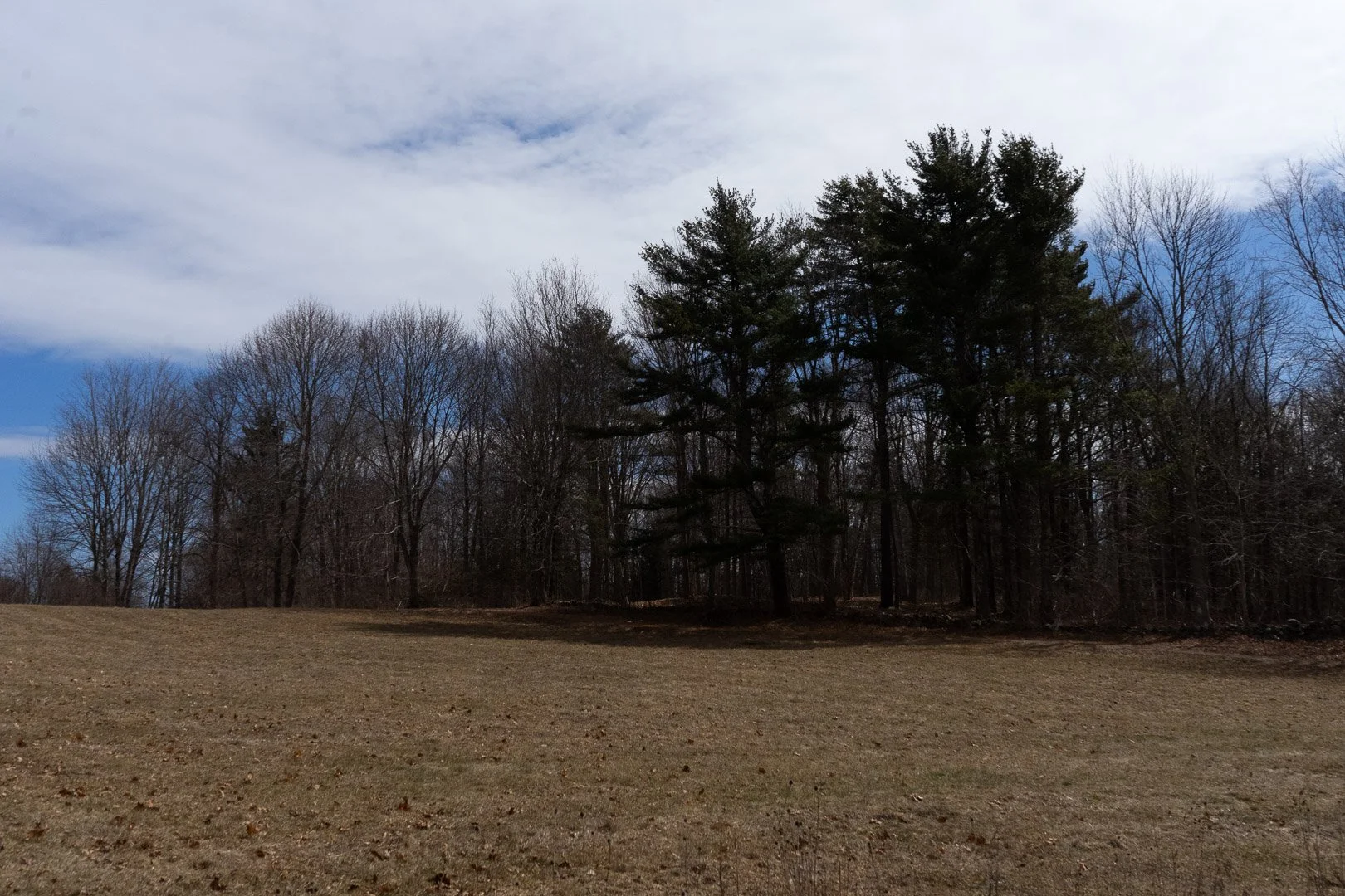 DSC06962.jpg
