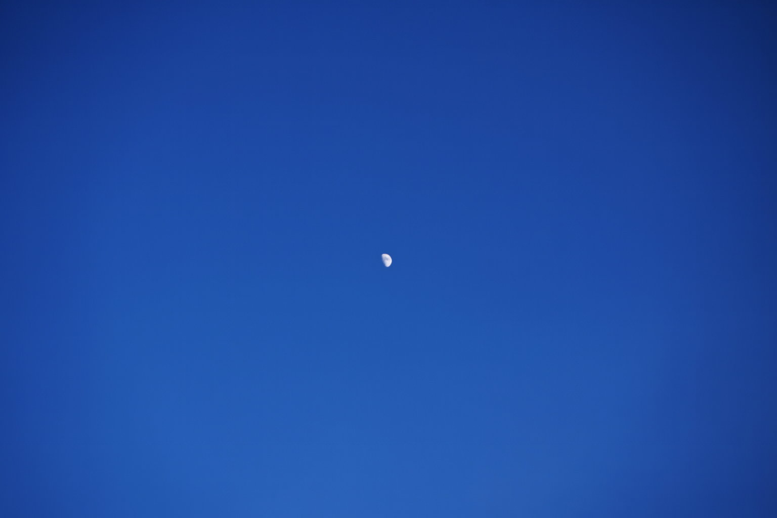 ChatGPT Image Dec 8, 2025, 11_11_37 PM.png