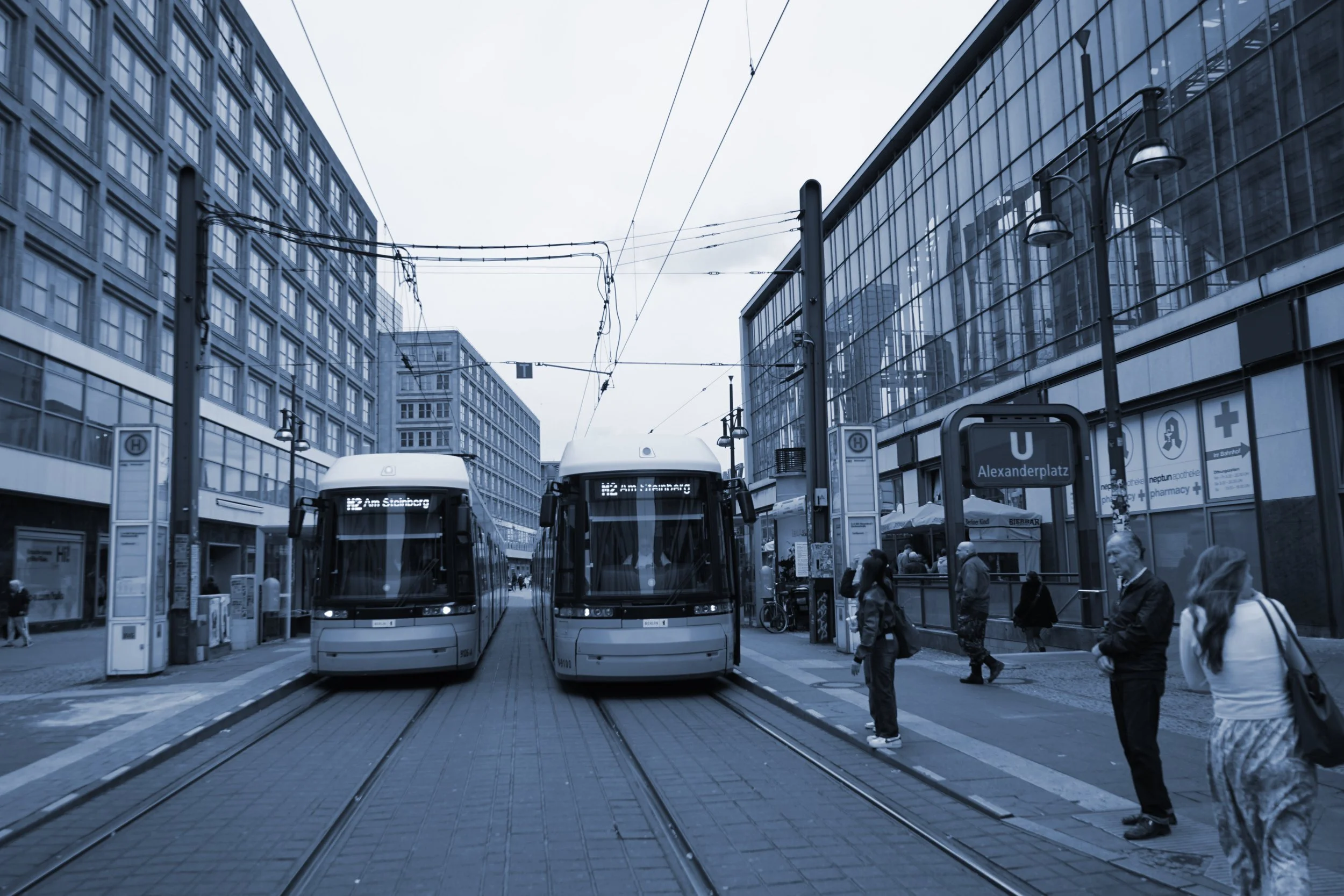 Color Palette (Cyanotype)