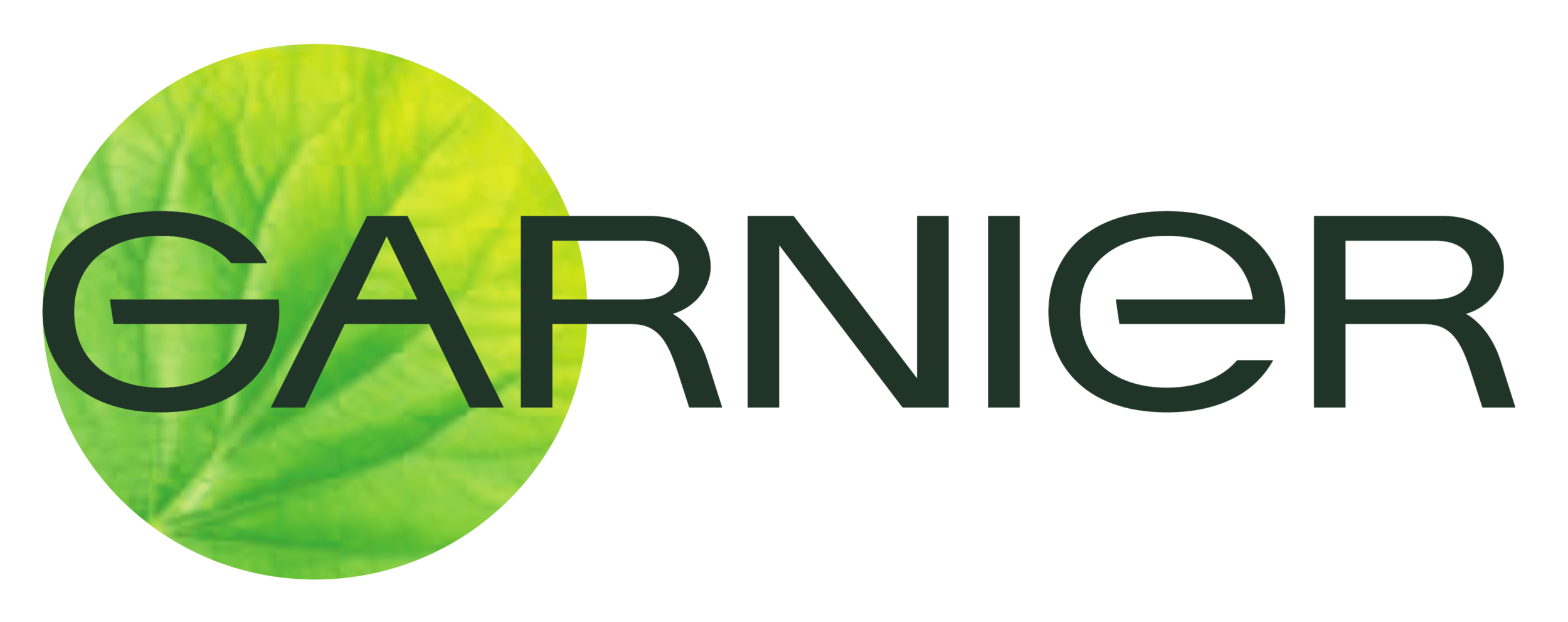 Garnier_logo.png