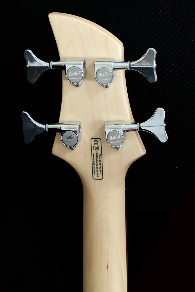 Acrylic Electric Bass Guitar, Custom AC-230 Transparent Lucite — Bad Cat  Instruments