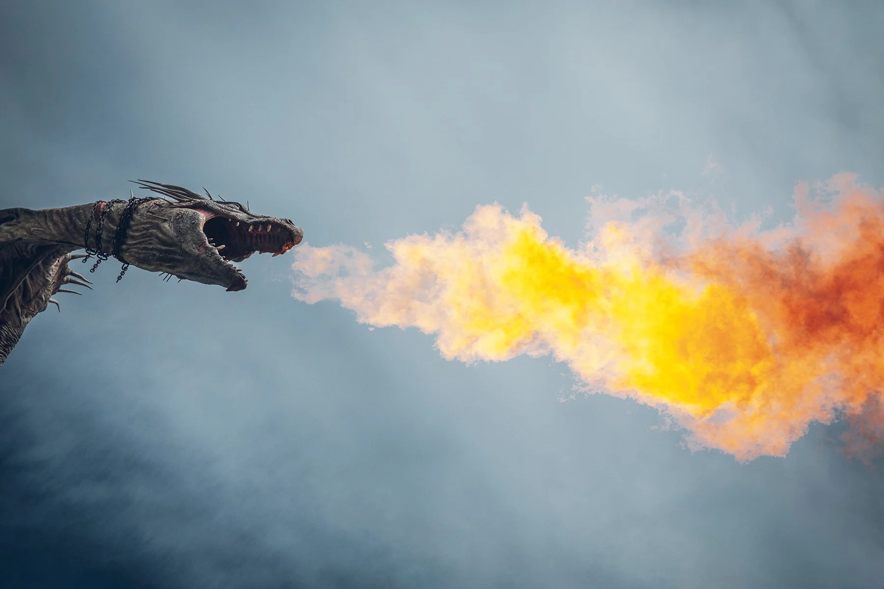 20231204_Universal (12).jpg