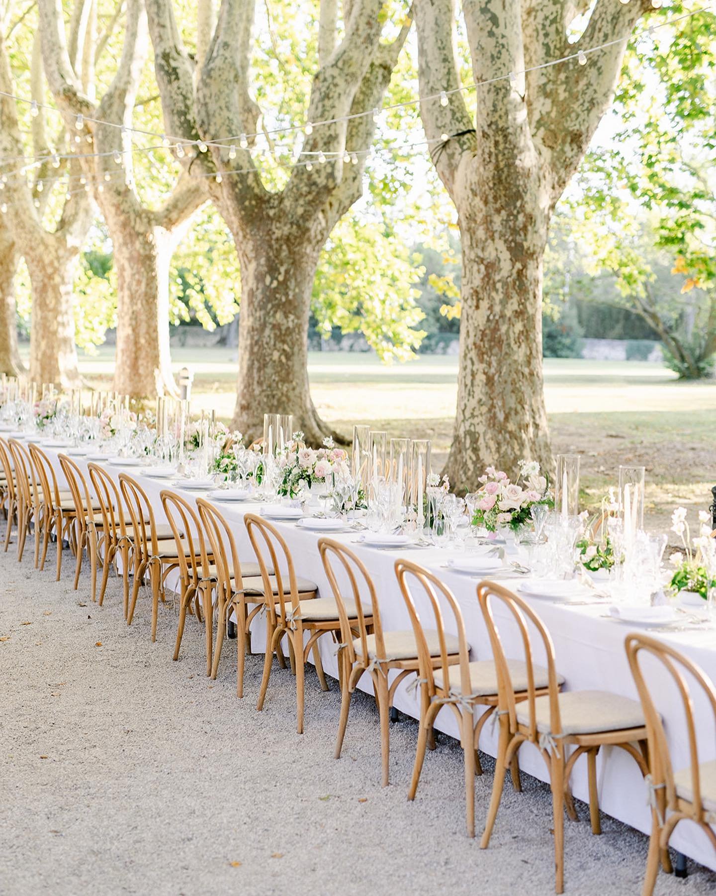 Provence&hellip; since 2023 we have been decorating your weddings in Provence with such joy.
E&amp;D came from California with their family and friends to celebrate their wedding in Saint R&eacute;my de Provence in the heart of the Alpilles.
I&rsquo;