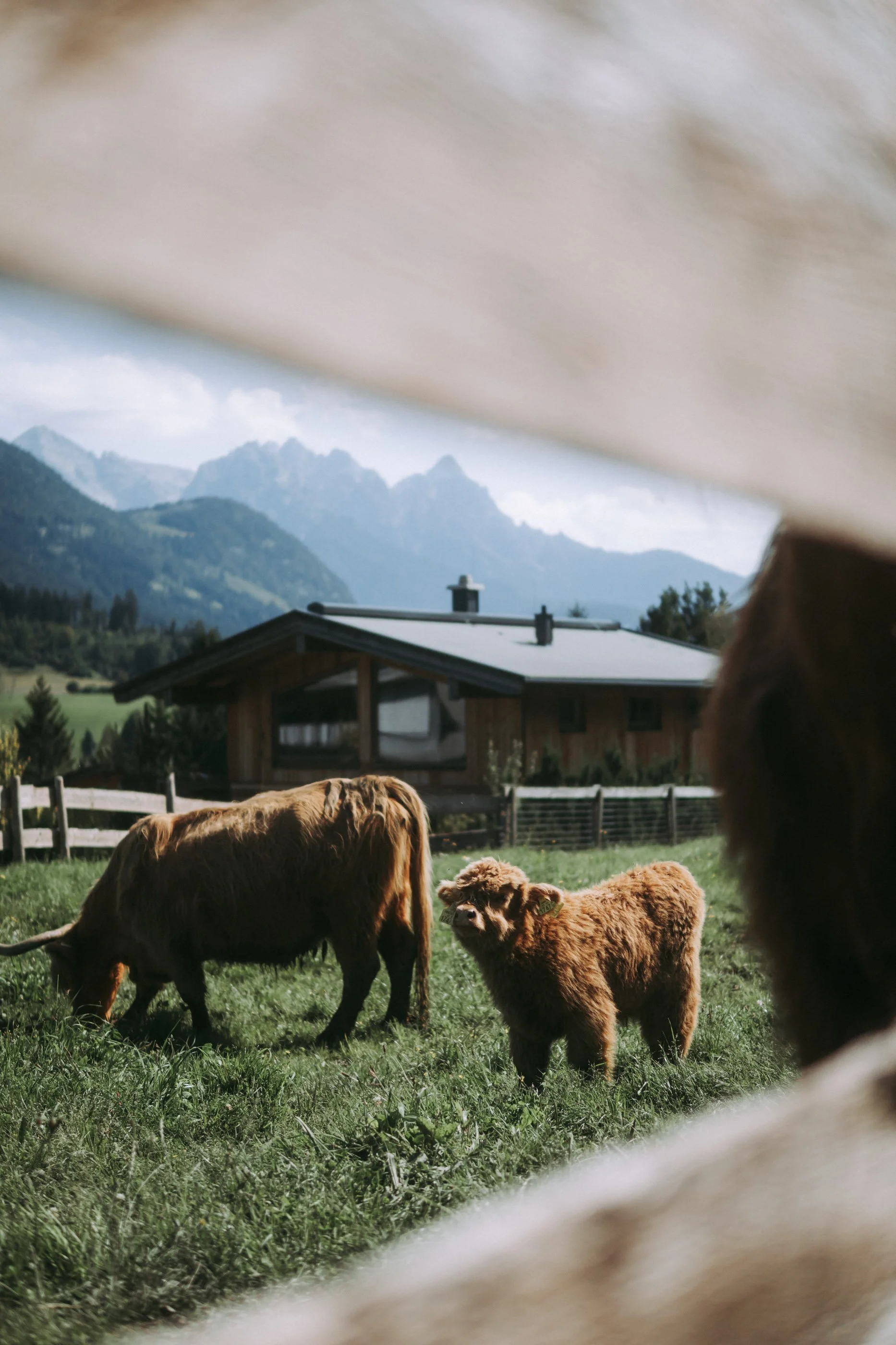 Wanderlust_Allgäau_Sommer_Farmhotel (13).jpg