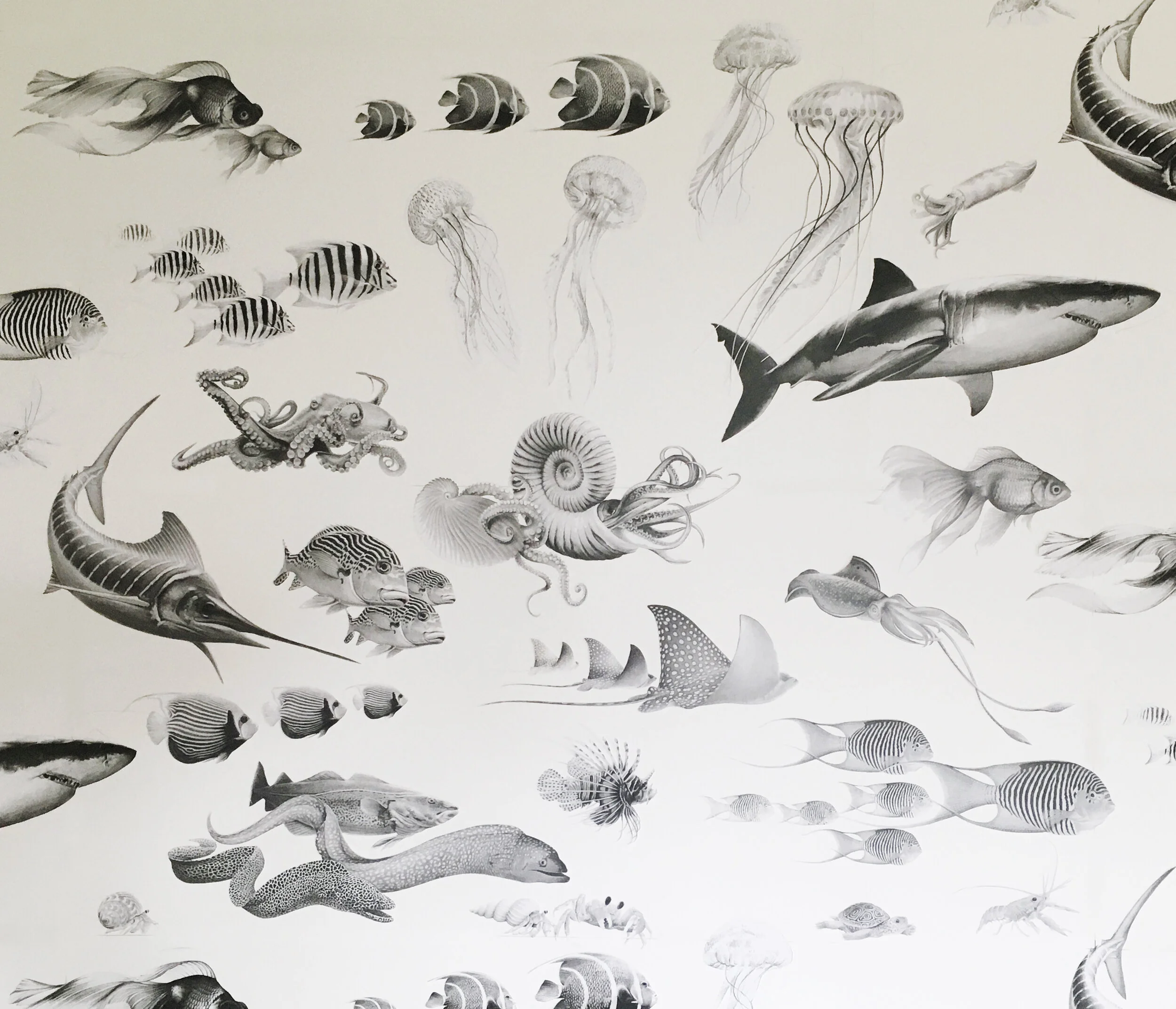 final draught of the Ocean wallpaper