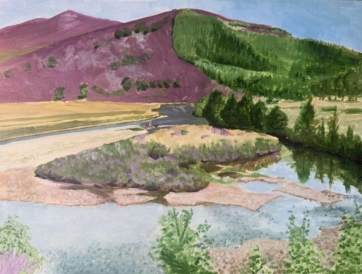 &ldquo;Island on River Dee&rdquo;. Oil on board 16x12&rdquo;. Spent the day painting just up the road from @thefifearms in Braemar. The weather went from sunny to stormy in 2 hours. Finished off in the Artist Residence in Fife Arms. #scotland #landsc