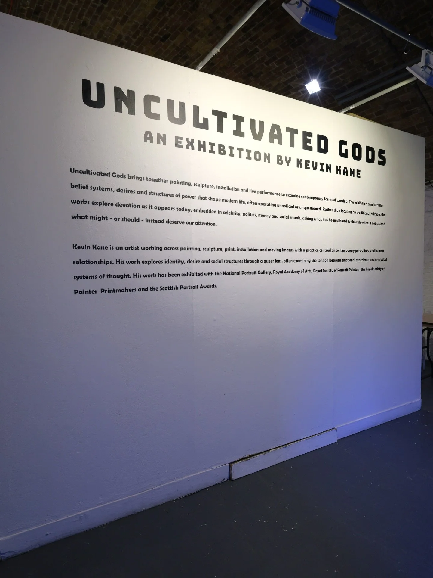 Install shots of Uncultivated Gods that was held at @hoxton_arches in Feb 2026. #artexhibitions #london