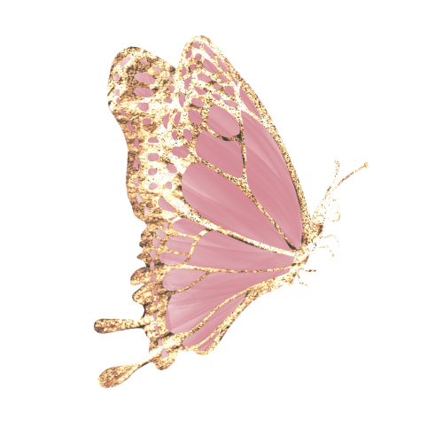 A butterfly representing a loving-kindness self-compassion practice